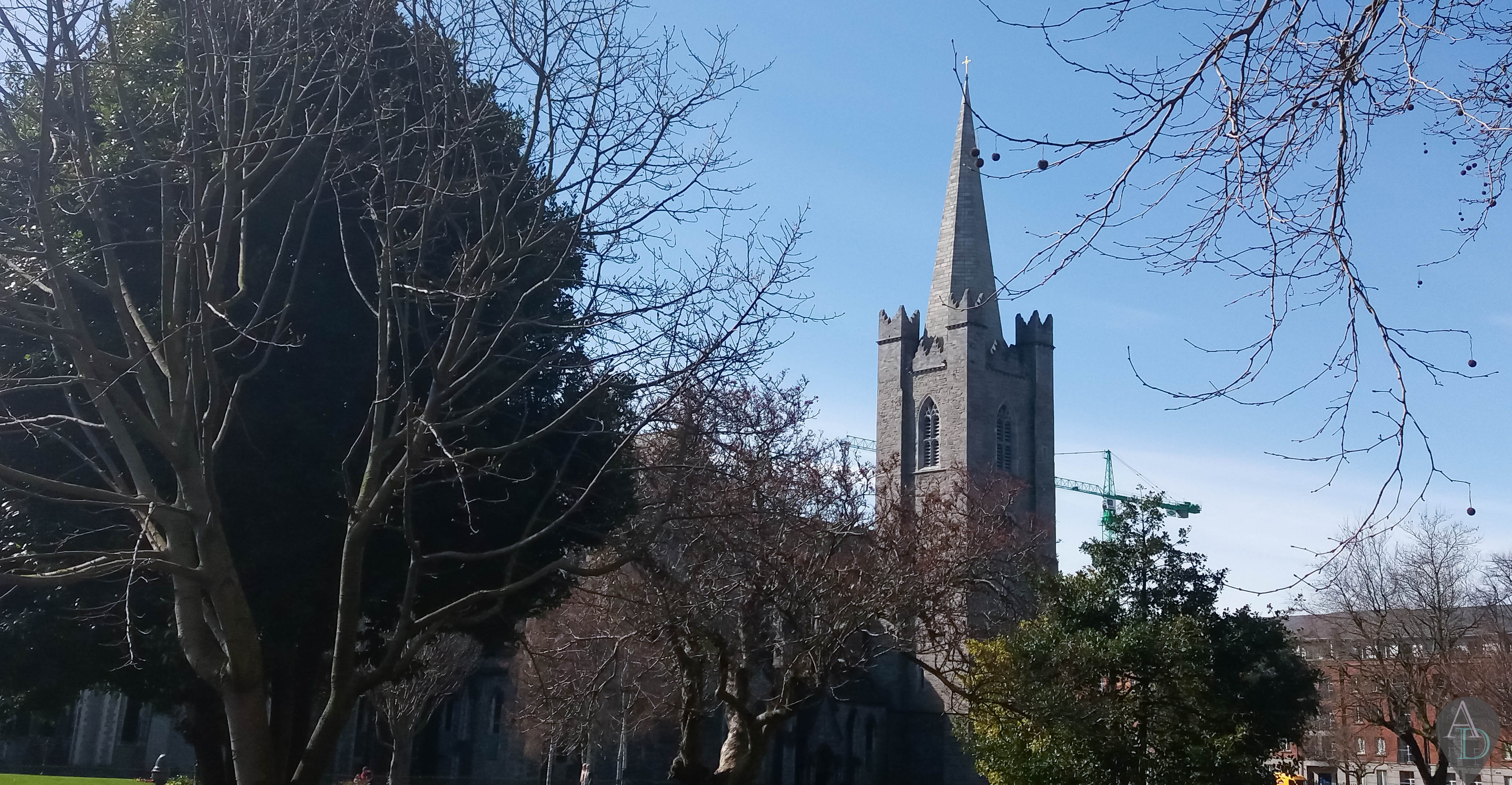 cathedrale saint patrick