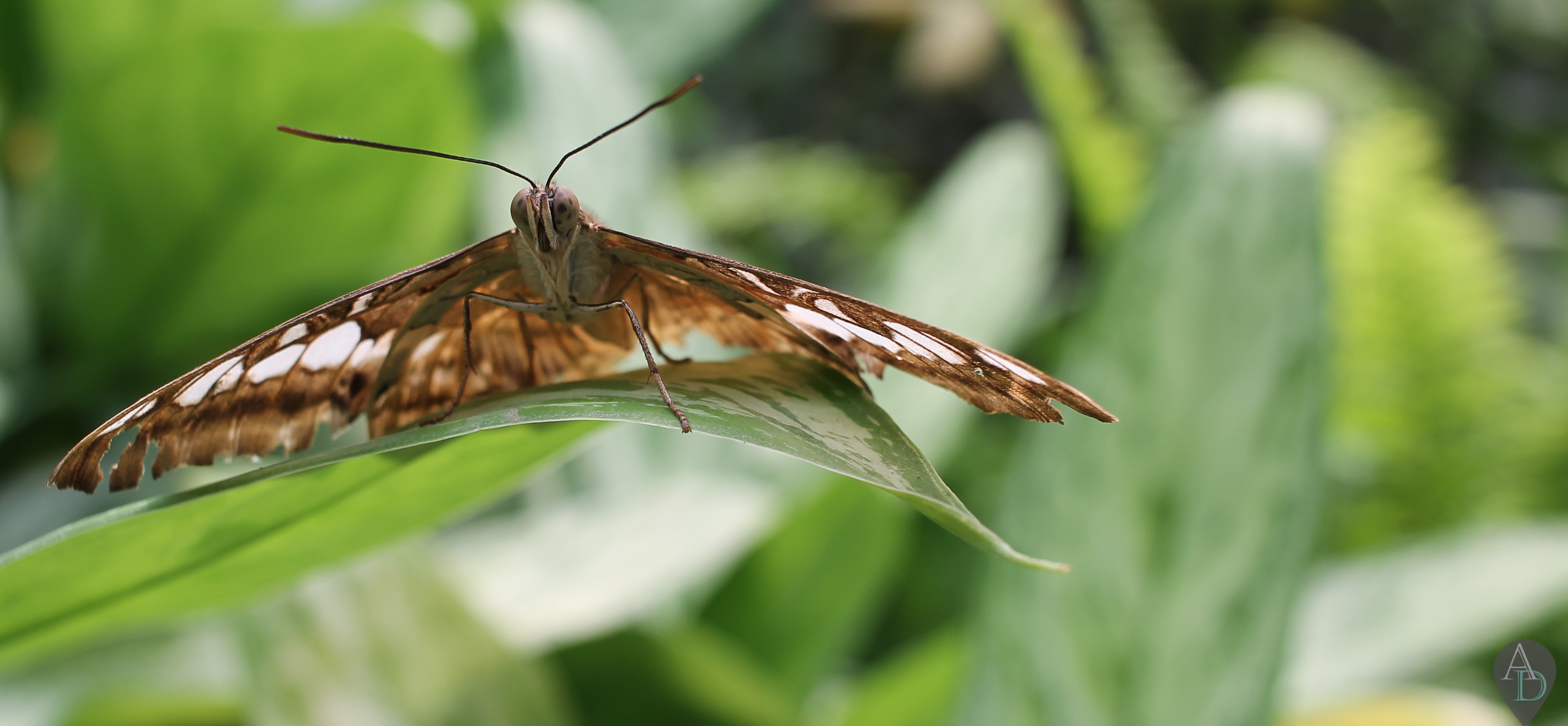 Naturospace honfleur