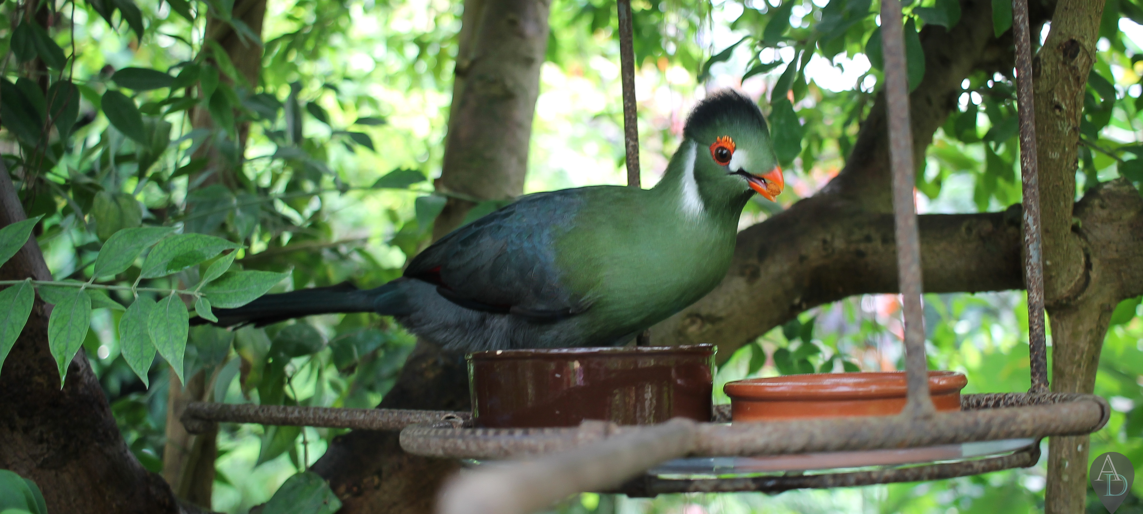 Naturospace honfleur