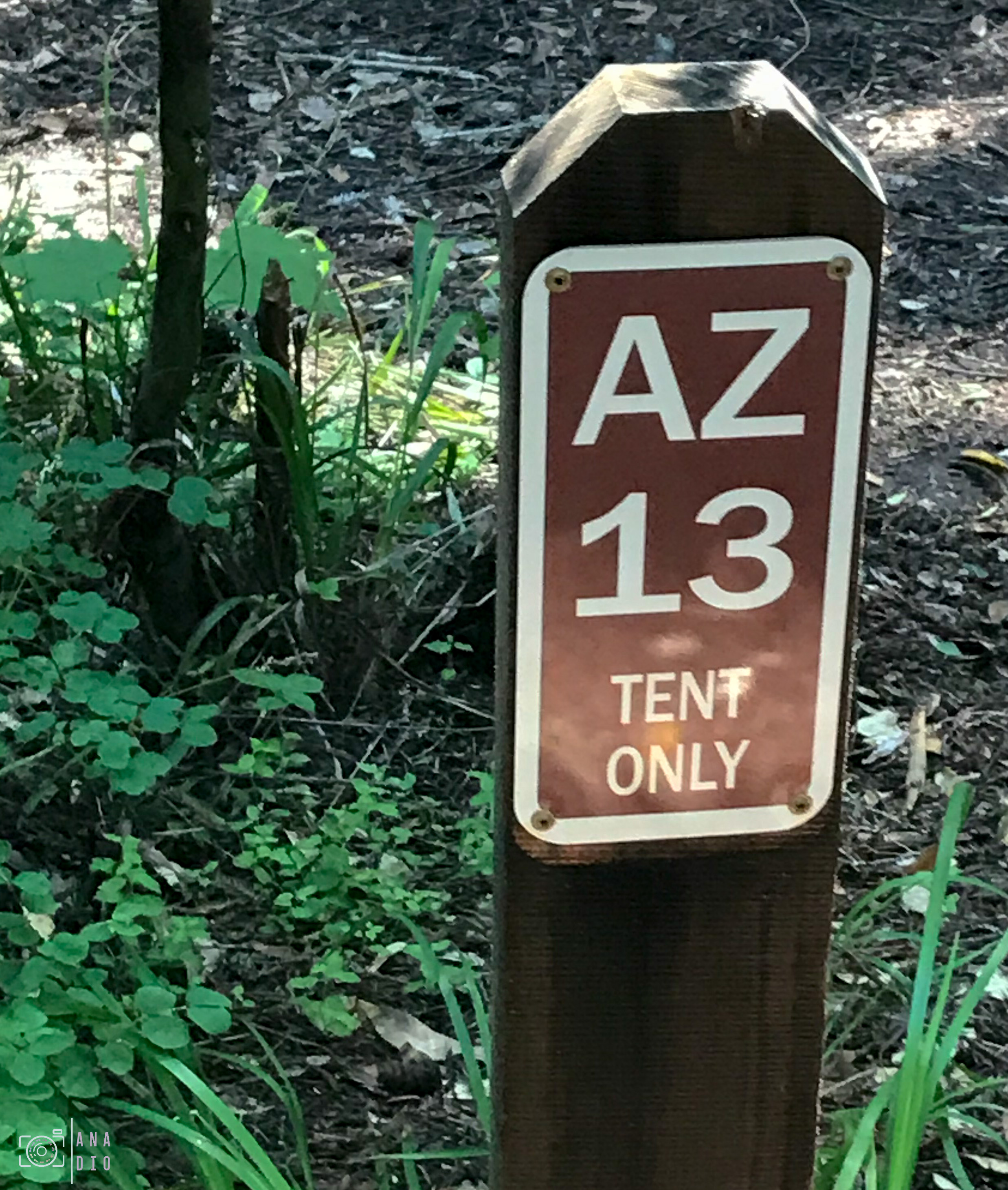 Où dormir en van en Californie