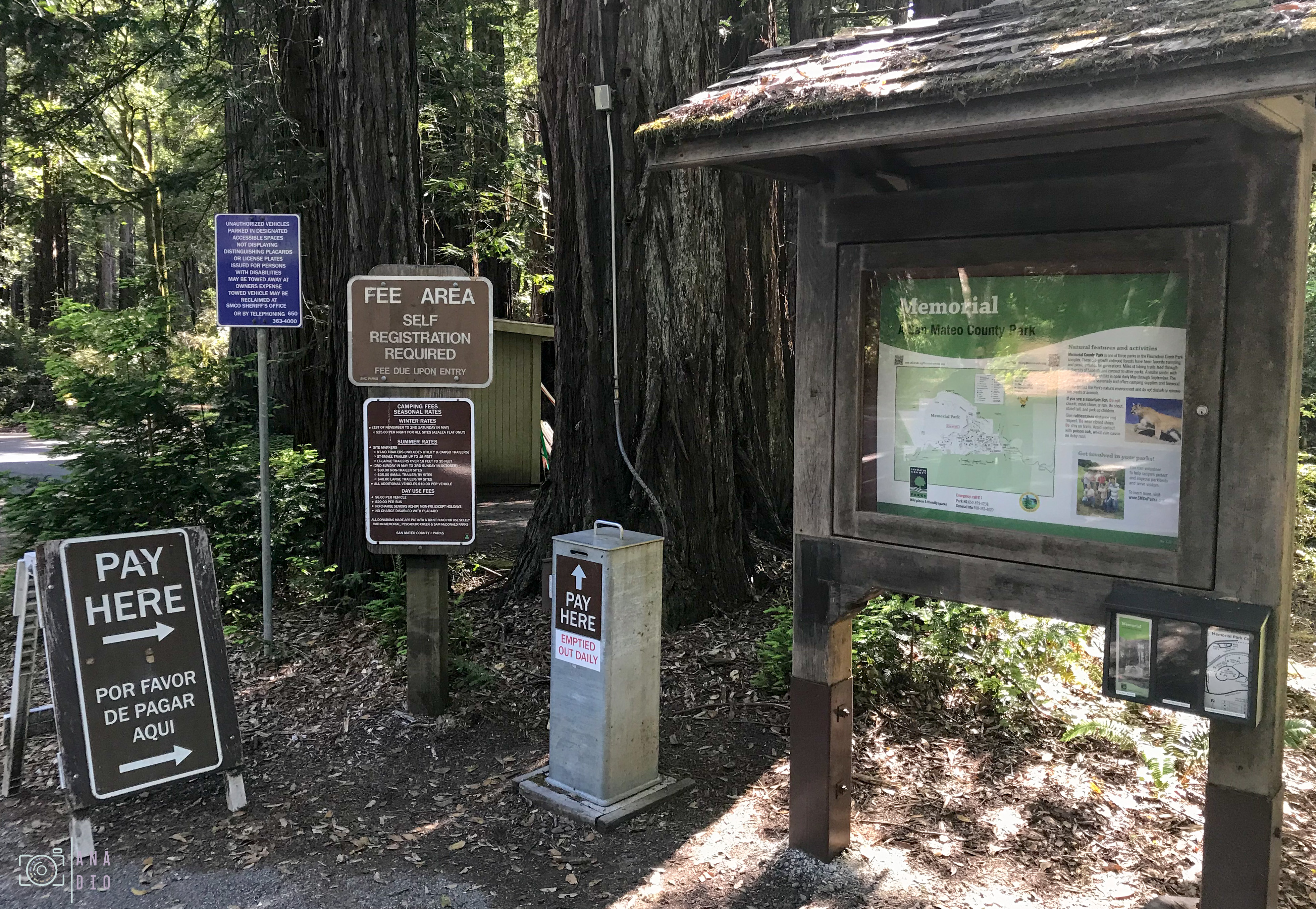 road trip en van en Californie