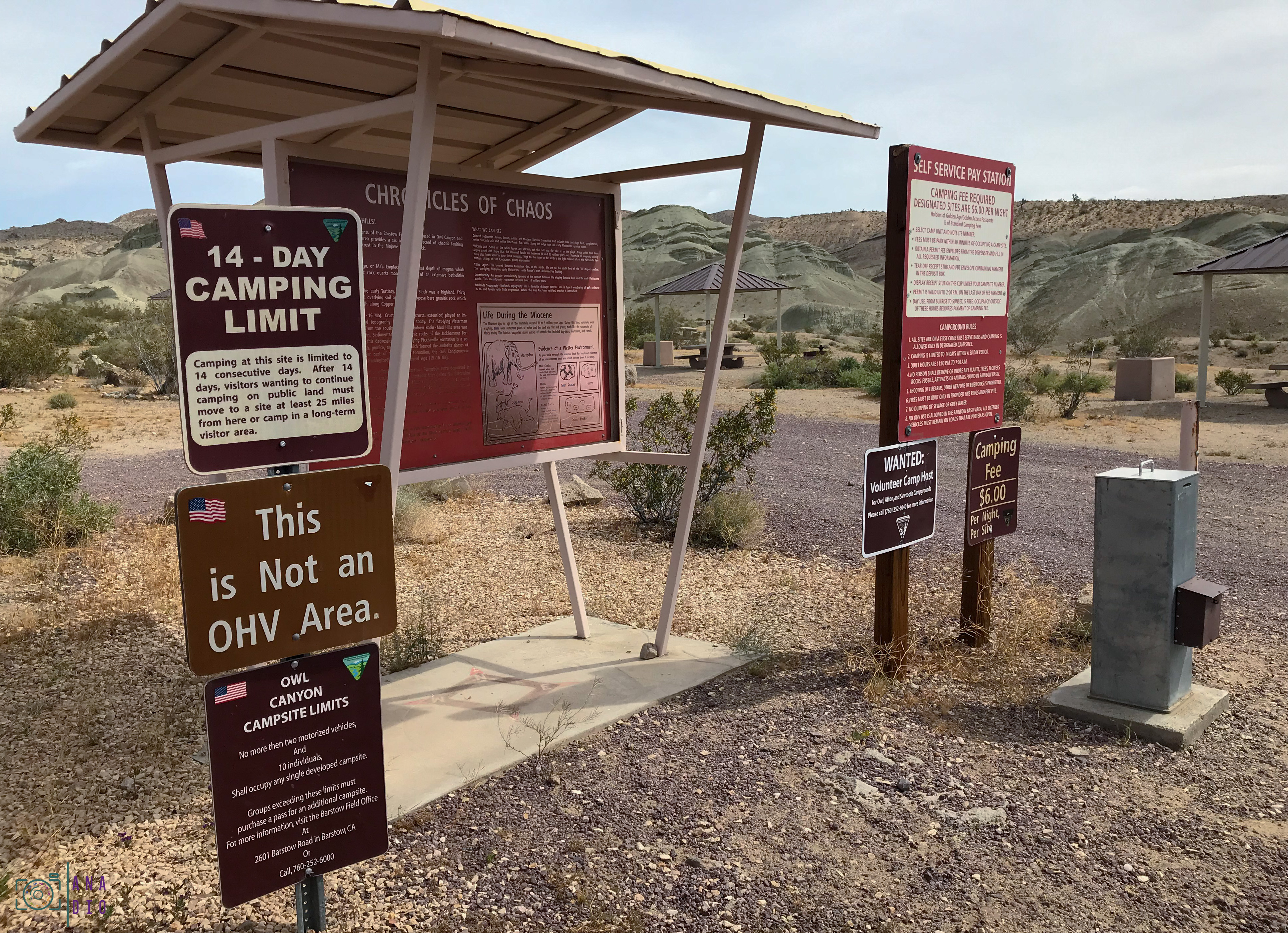 road trip en van en Californie