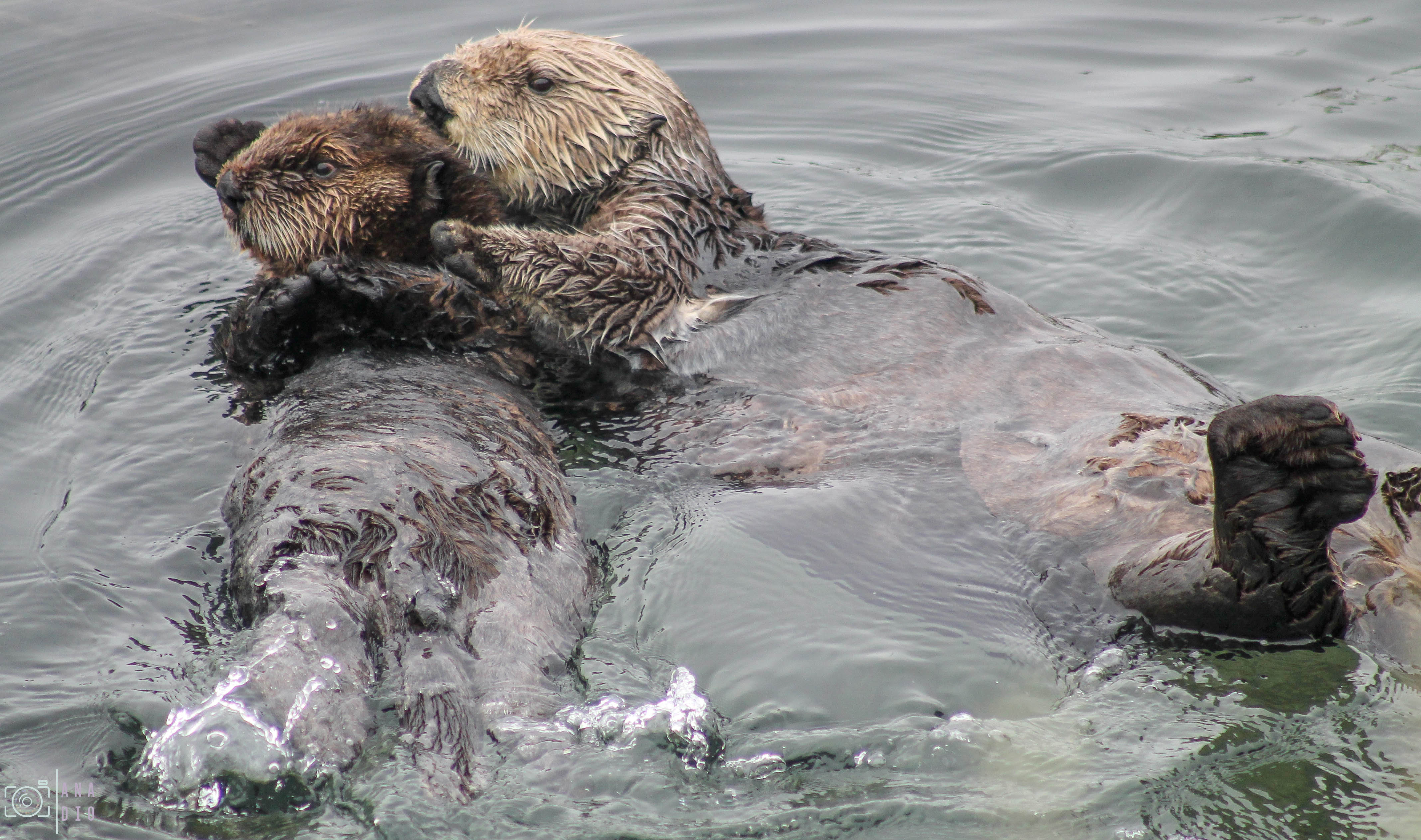 Highway 1 california
