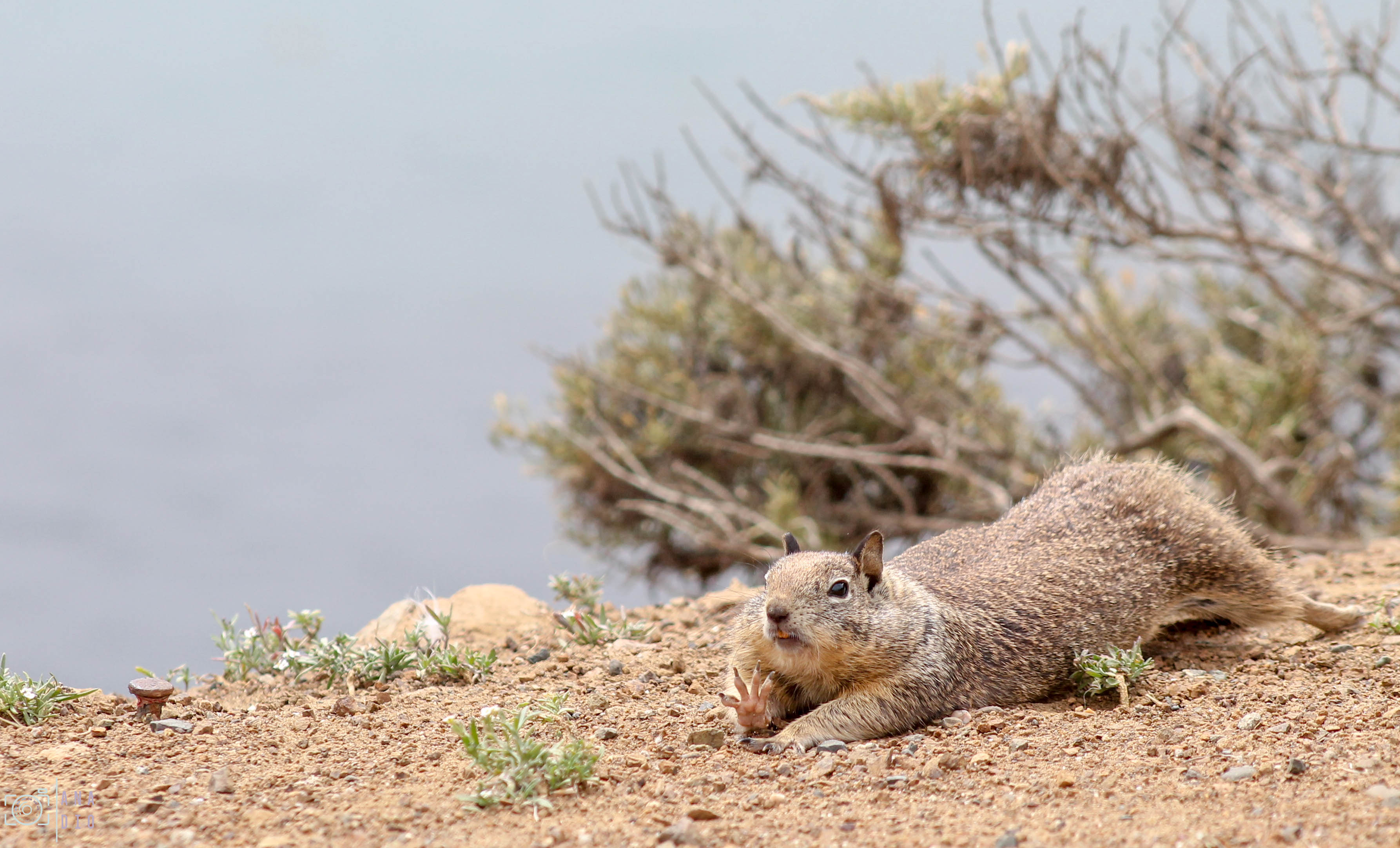 Highway 1 california