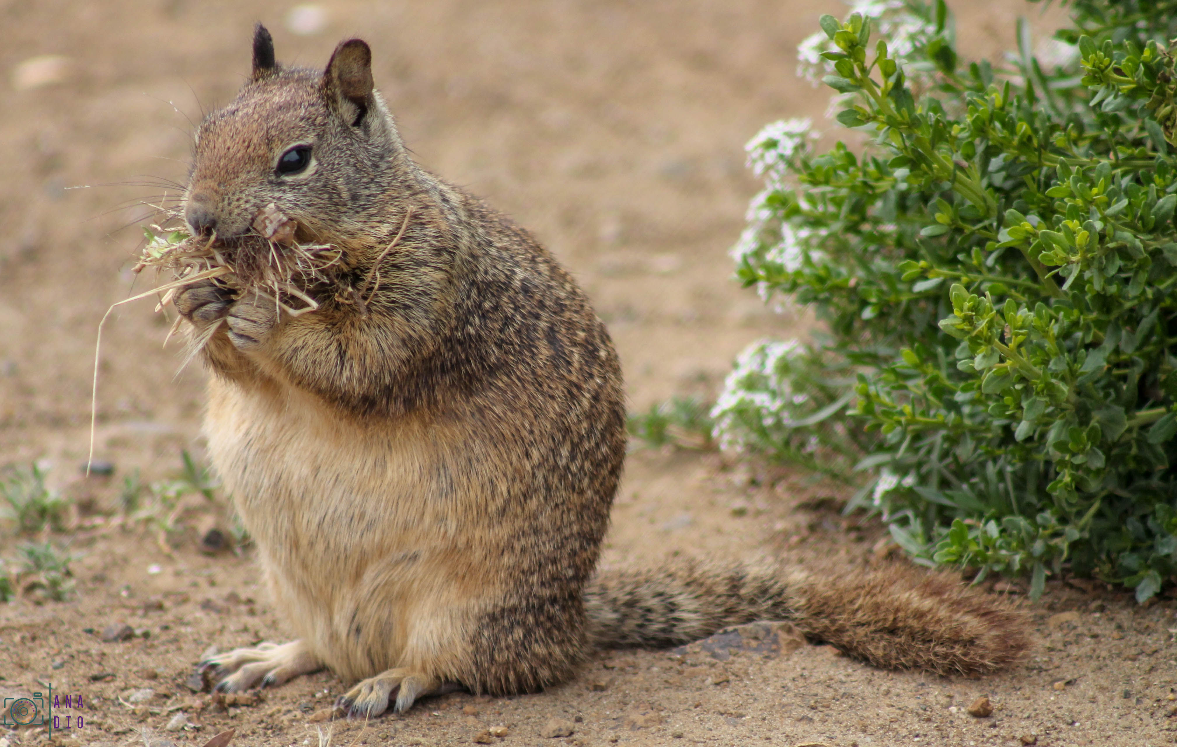 Highway 1 california