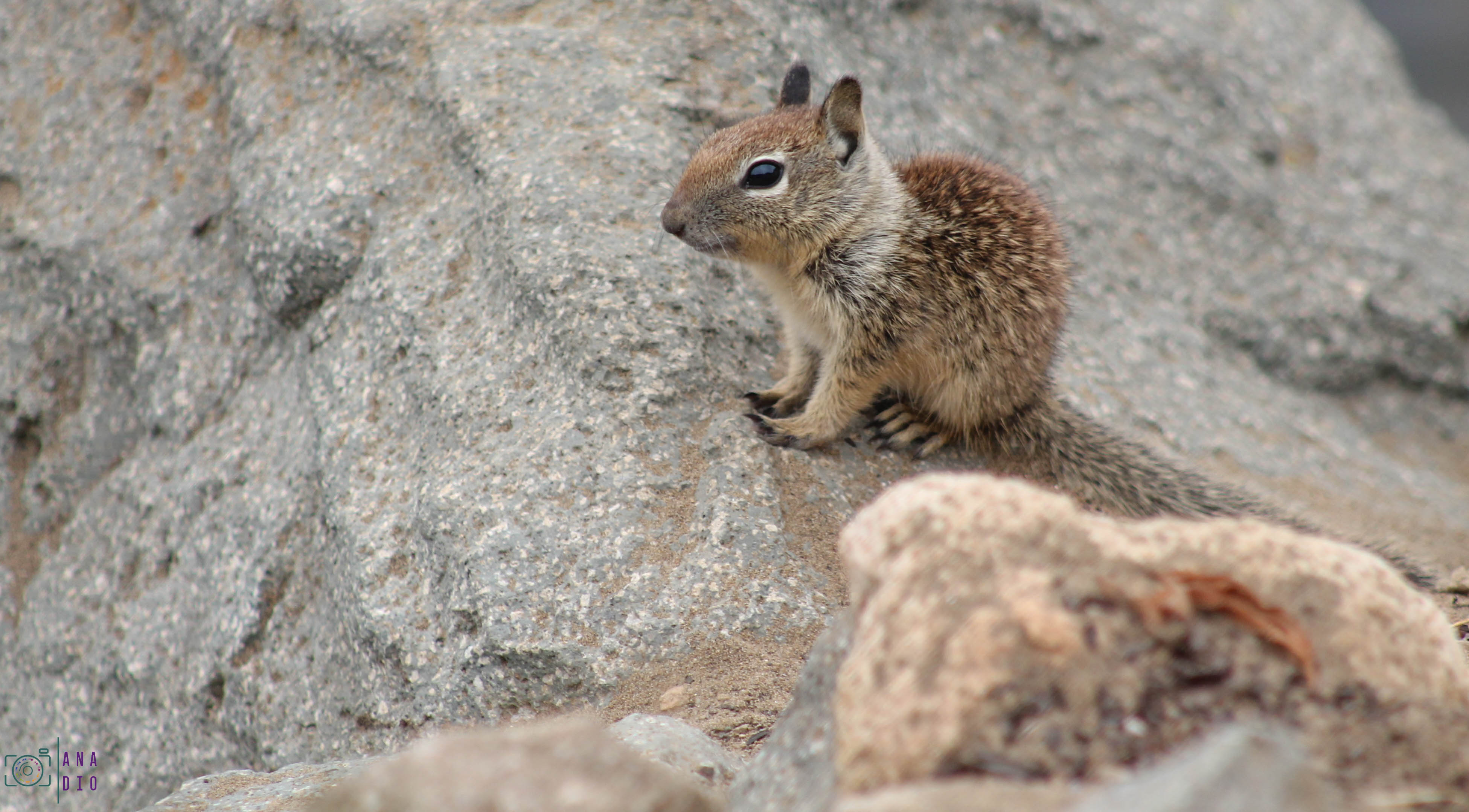 Highway 1 california