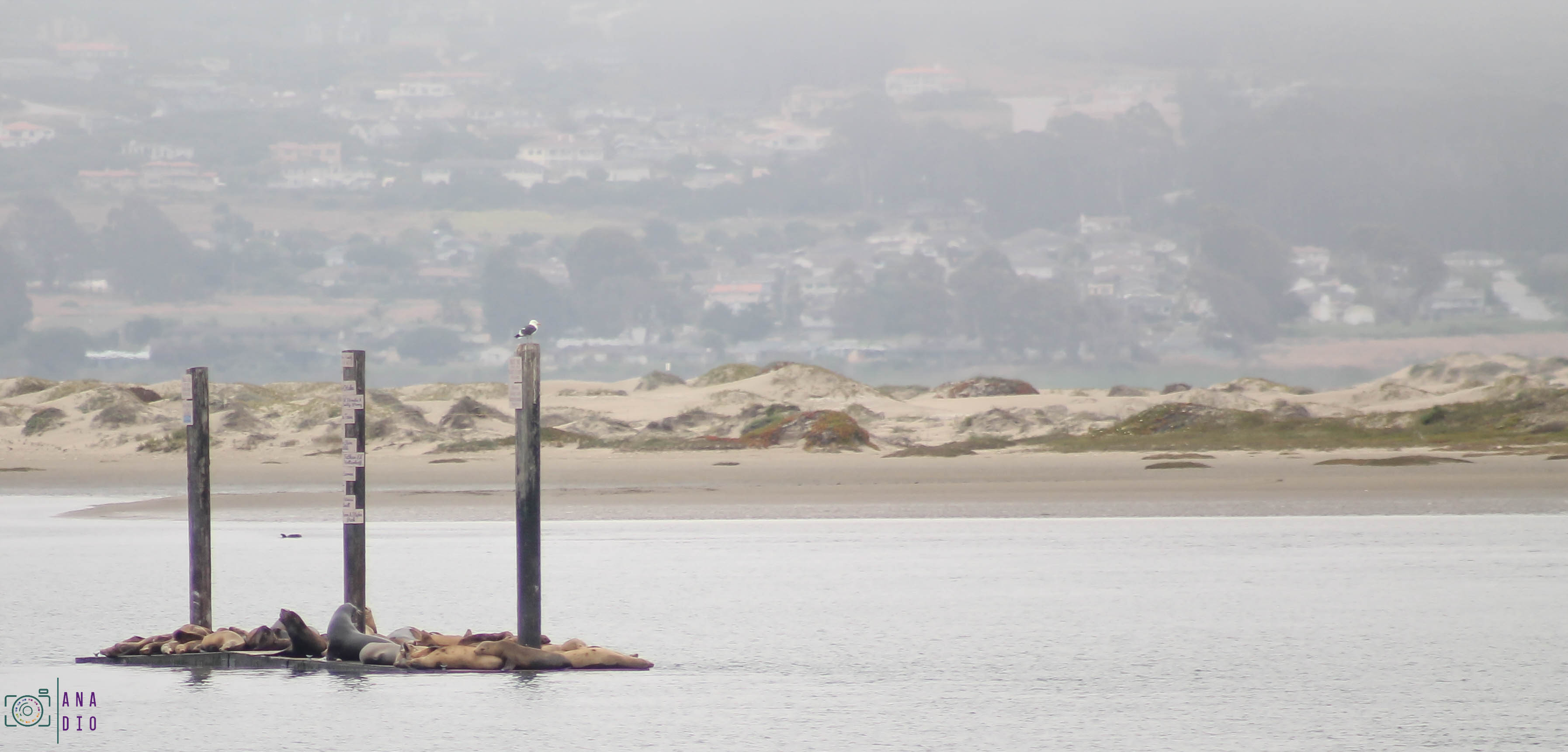 Highway 1 california