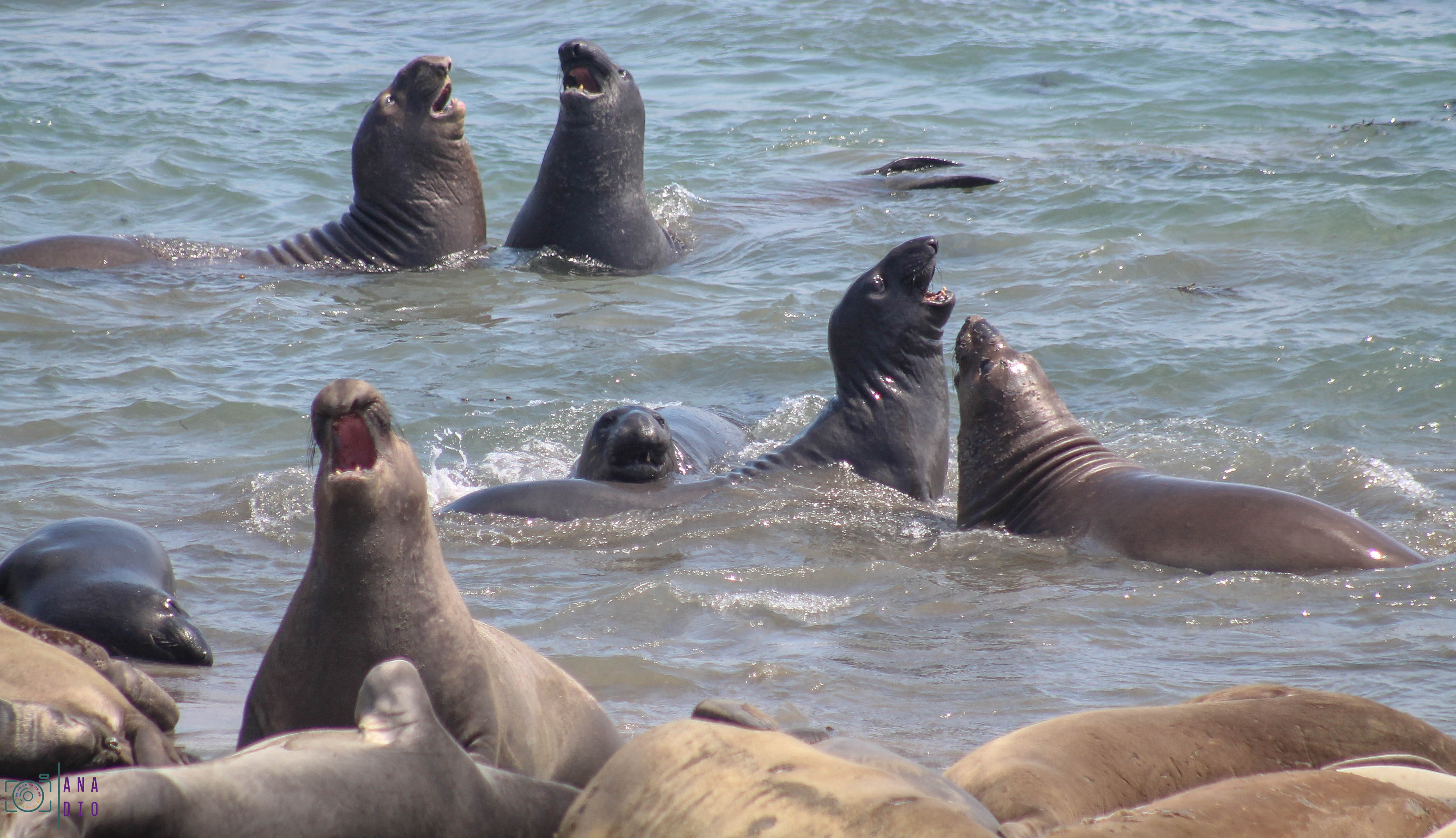Highway 1 california