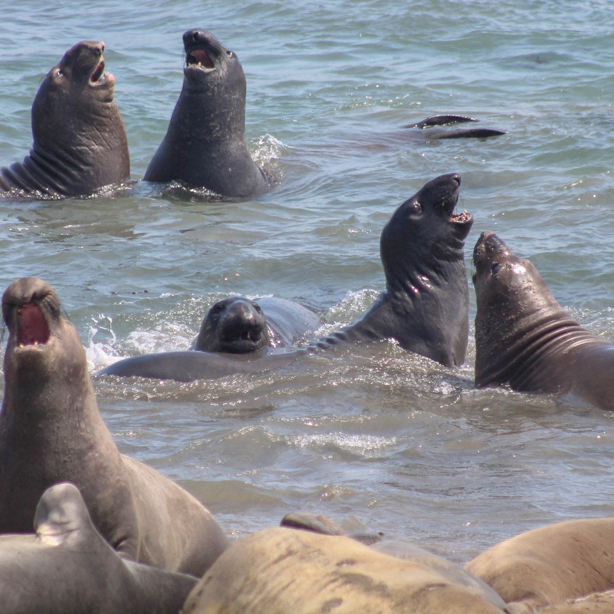 Road trip sur la Highway 1 en&nbsp;Californie