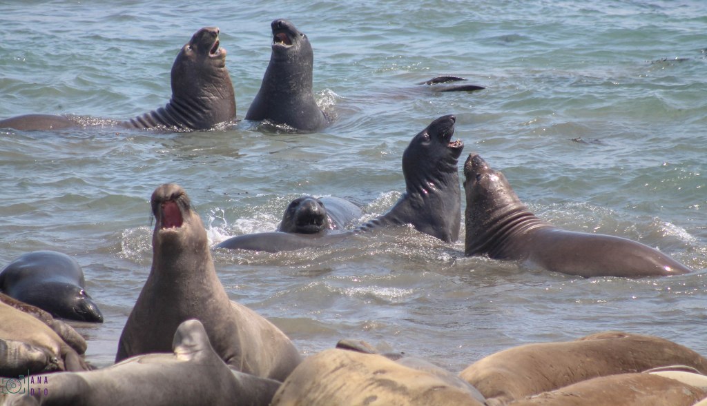 Road trip sur la Highway 1 en&nbsp;Californie