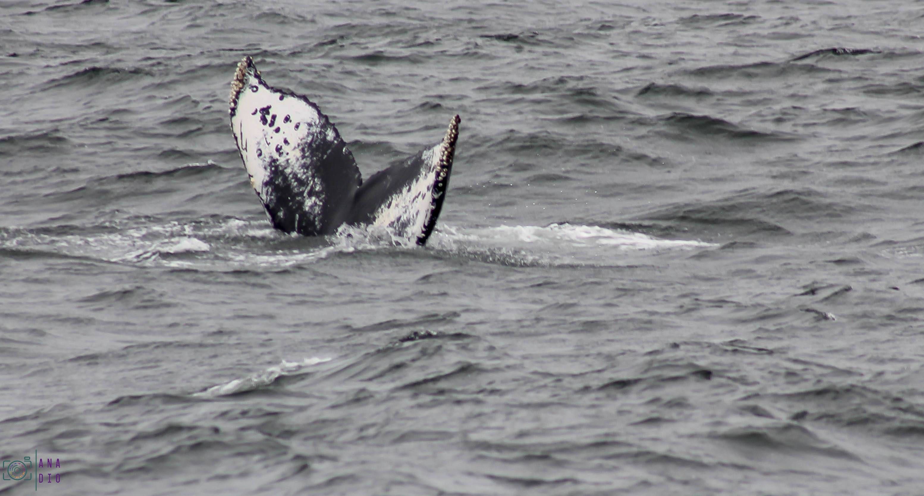 Highway 1 california