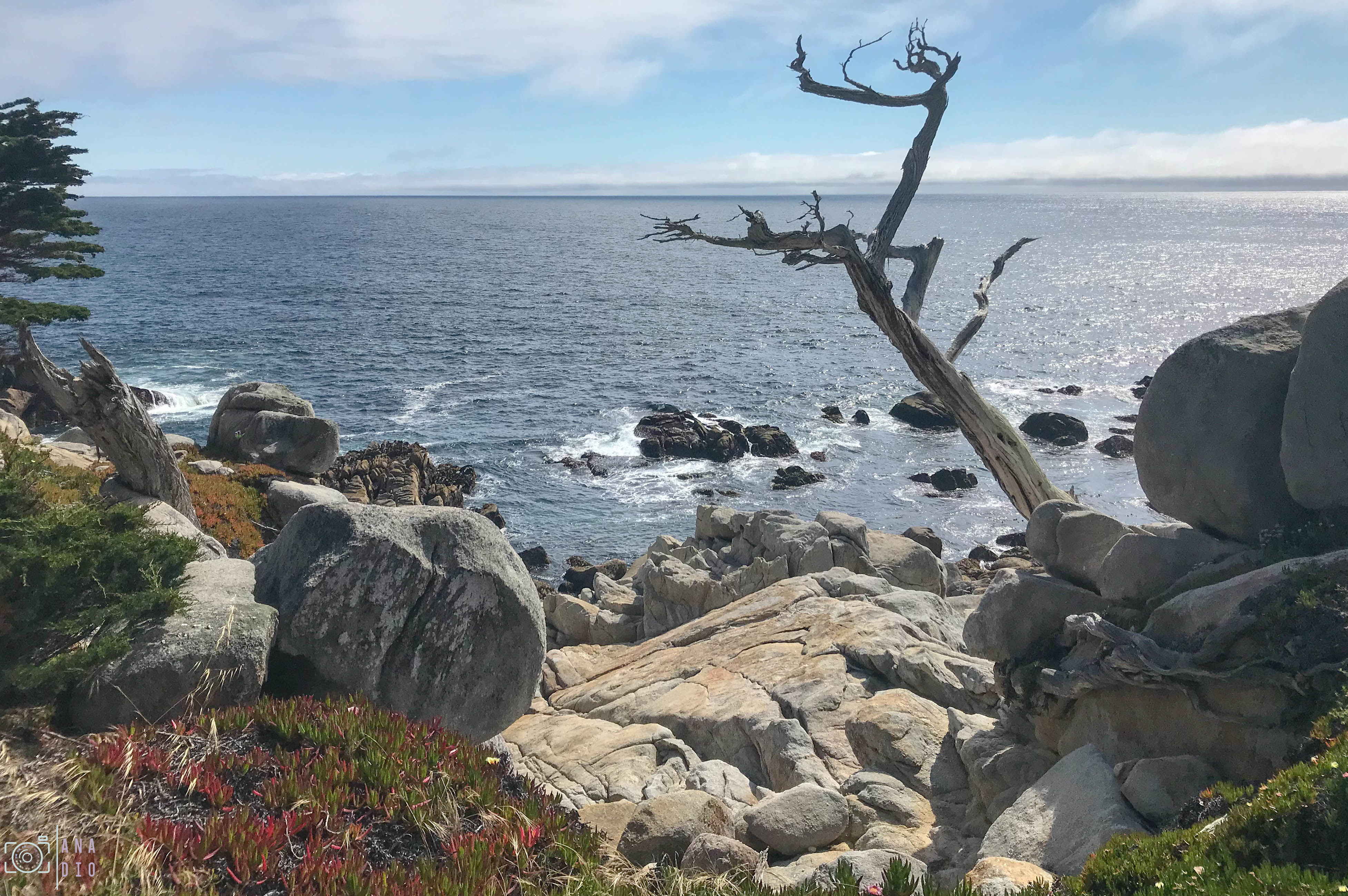 Highway 1 california