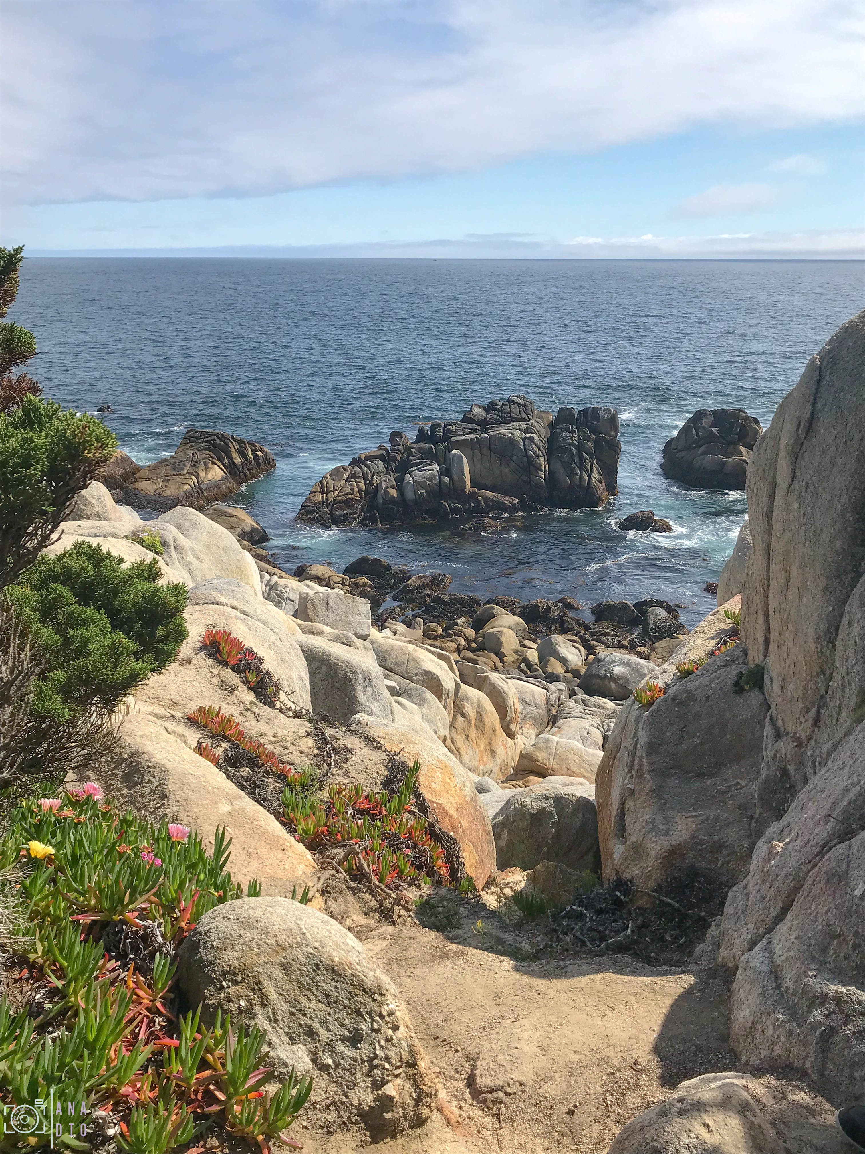 Highway 1 california