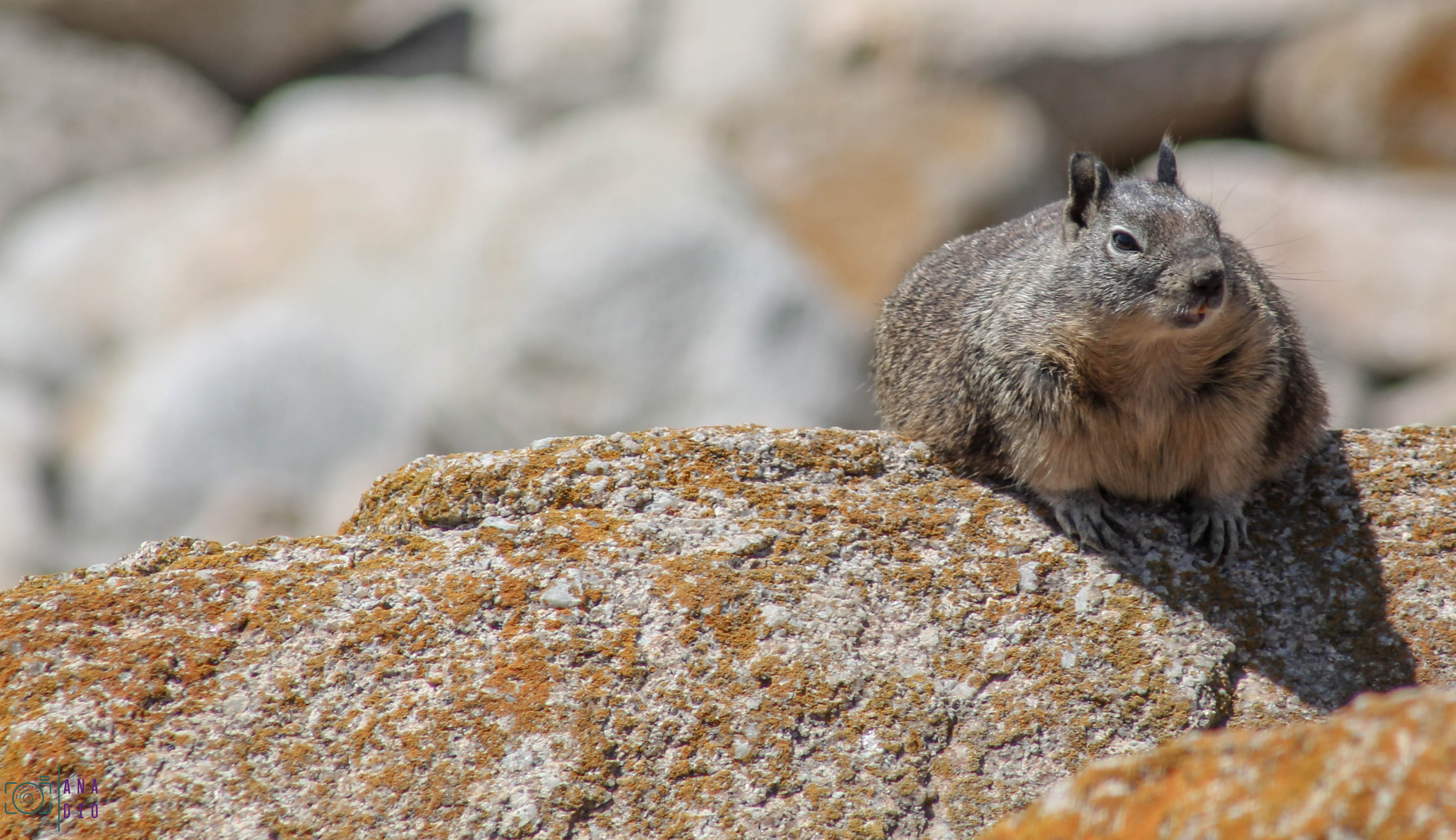 Highway 1 california