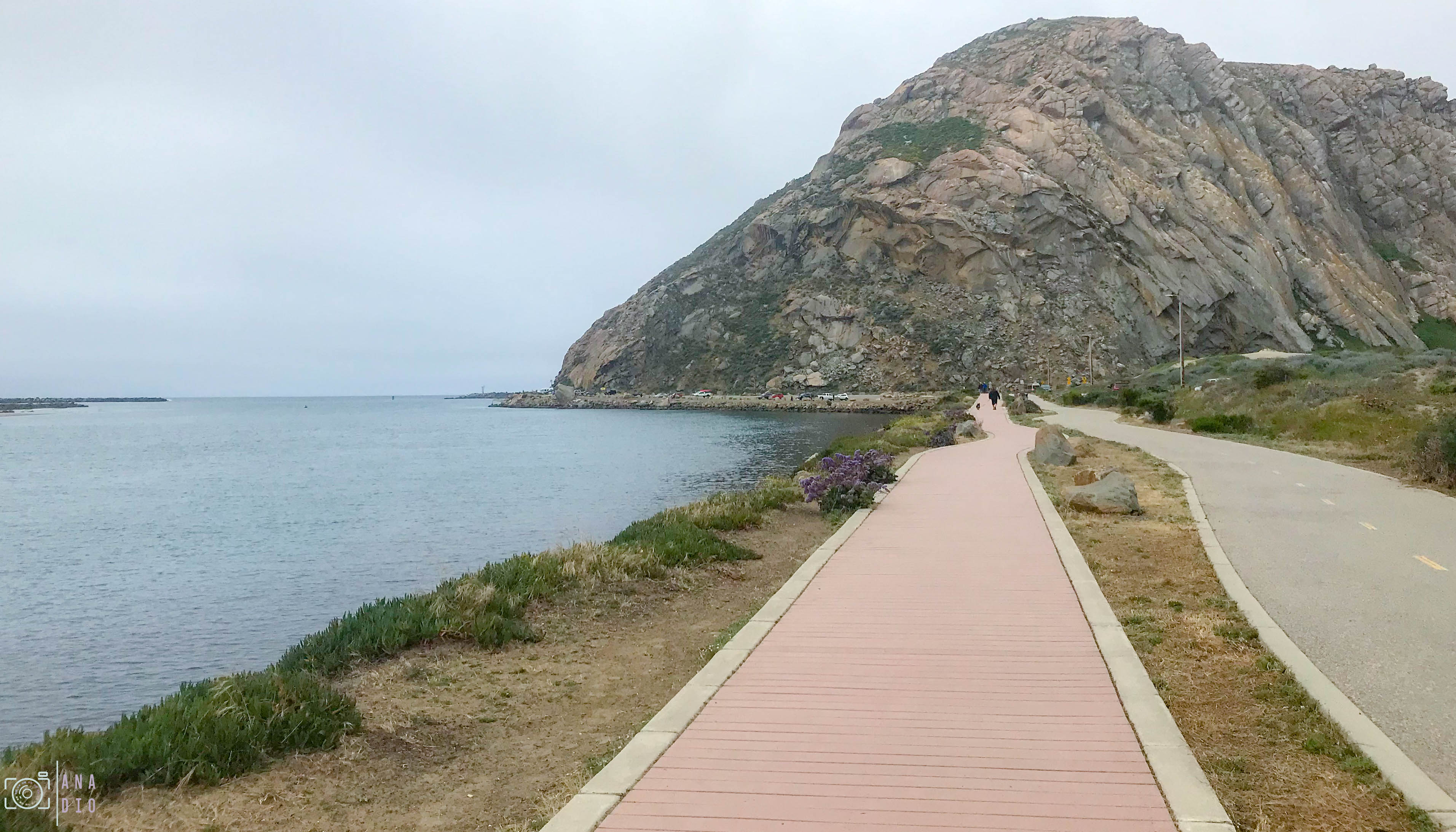 Highway 1 california