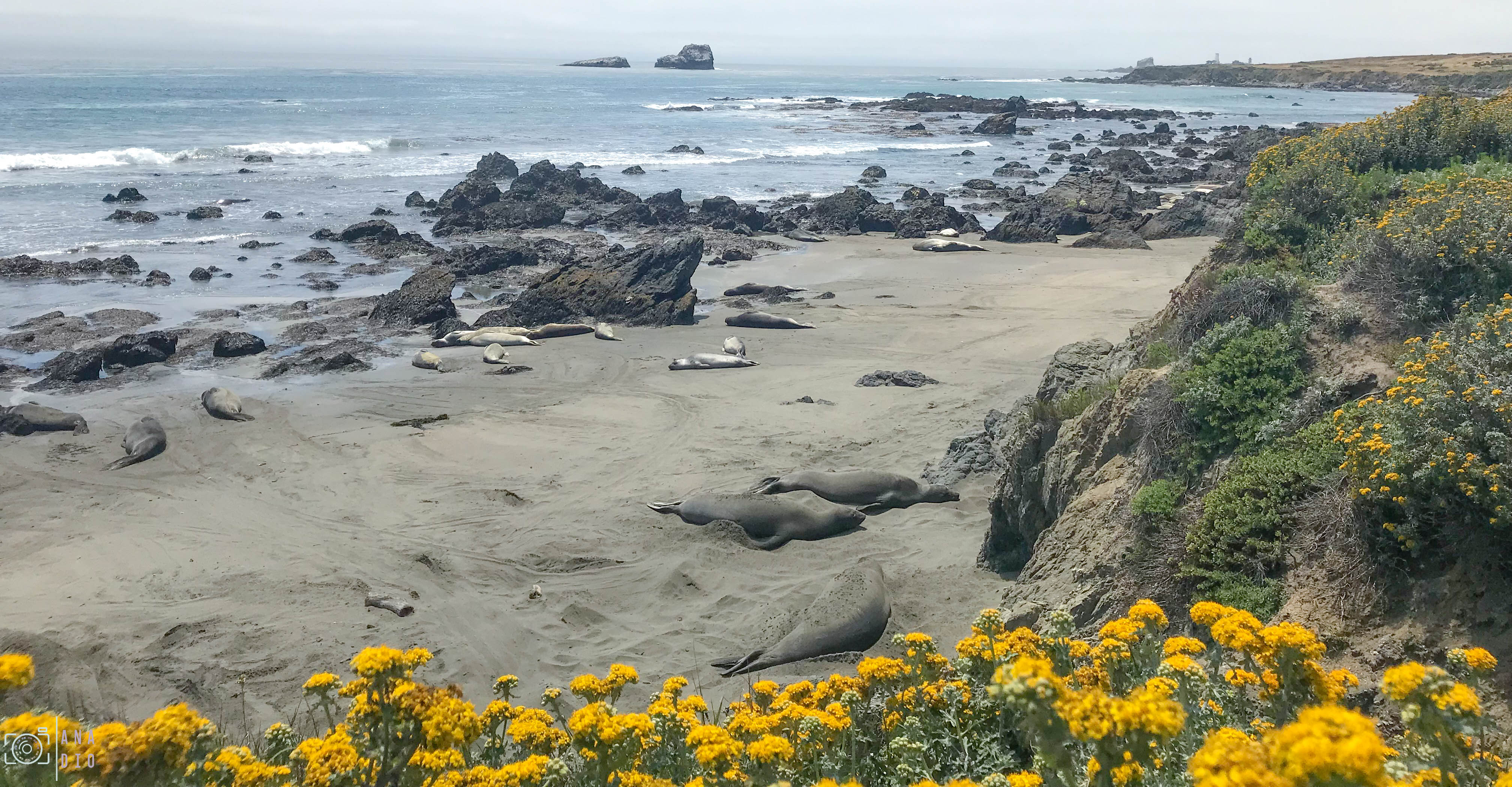 Highway 1 california