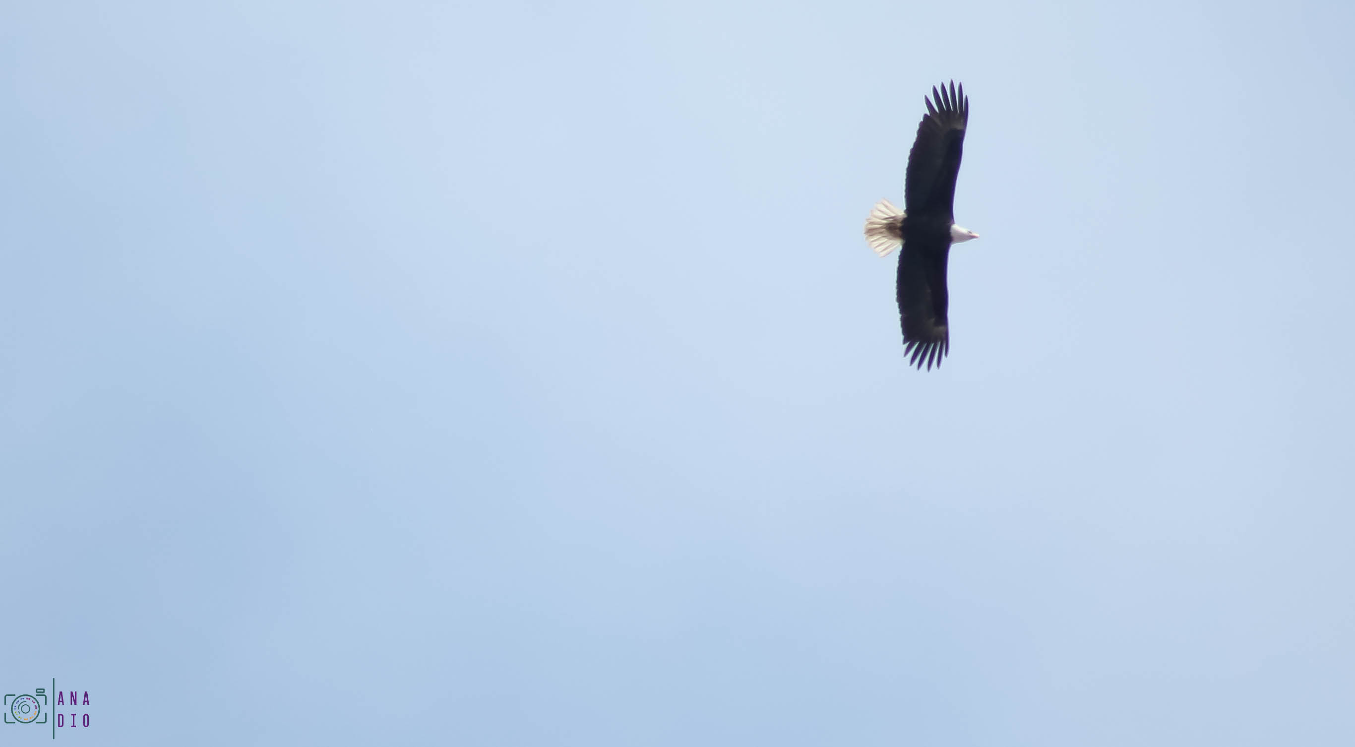 Highway 1 california