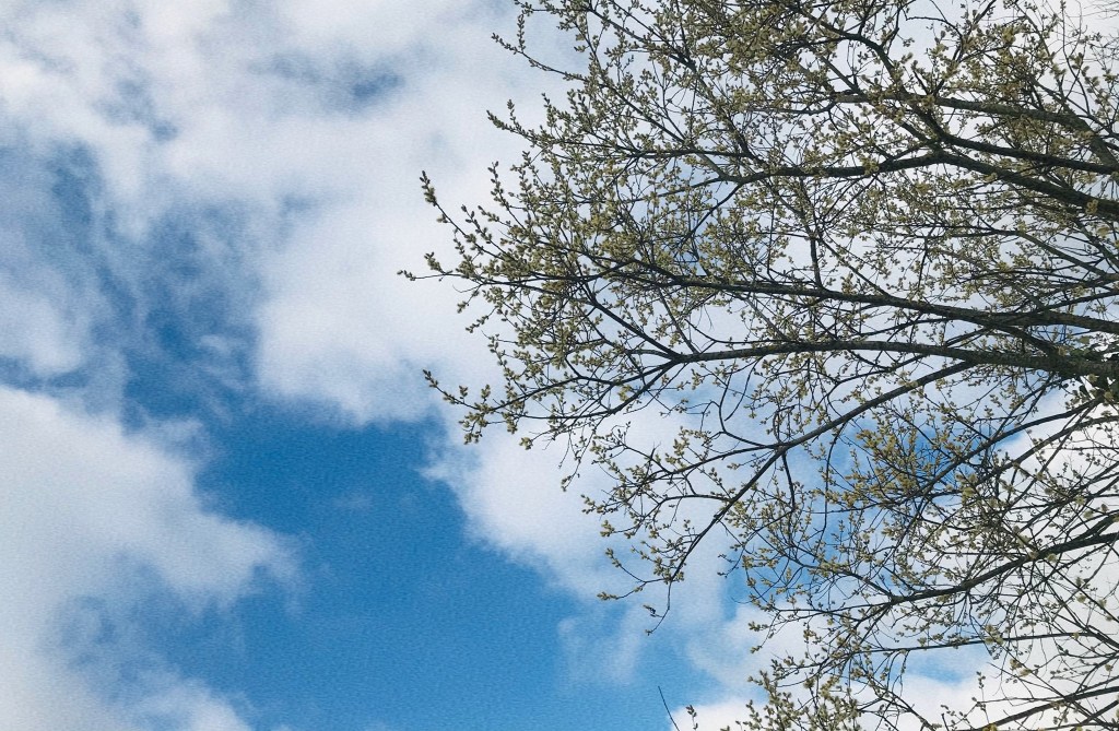 La liste de mes envies