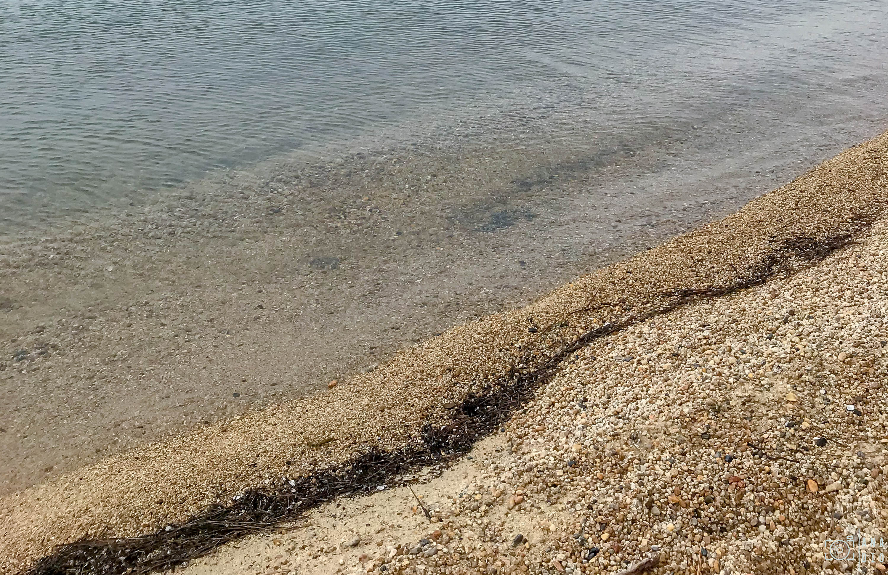 Lake Tahoe © Anaïs Diodore