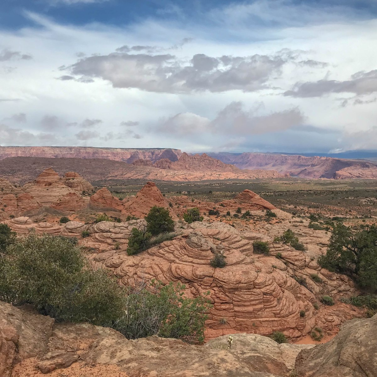 Parcs nationaux de l&rsquo;Ouest&nbsp;américain