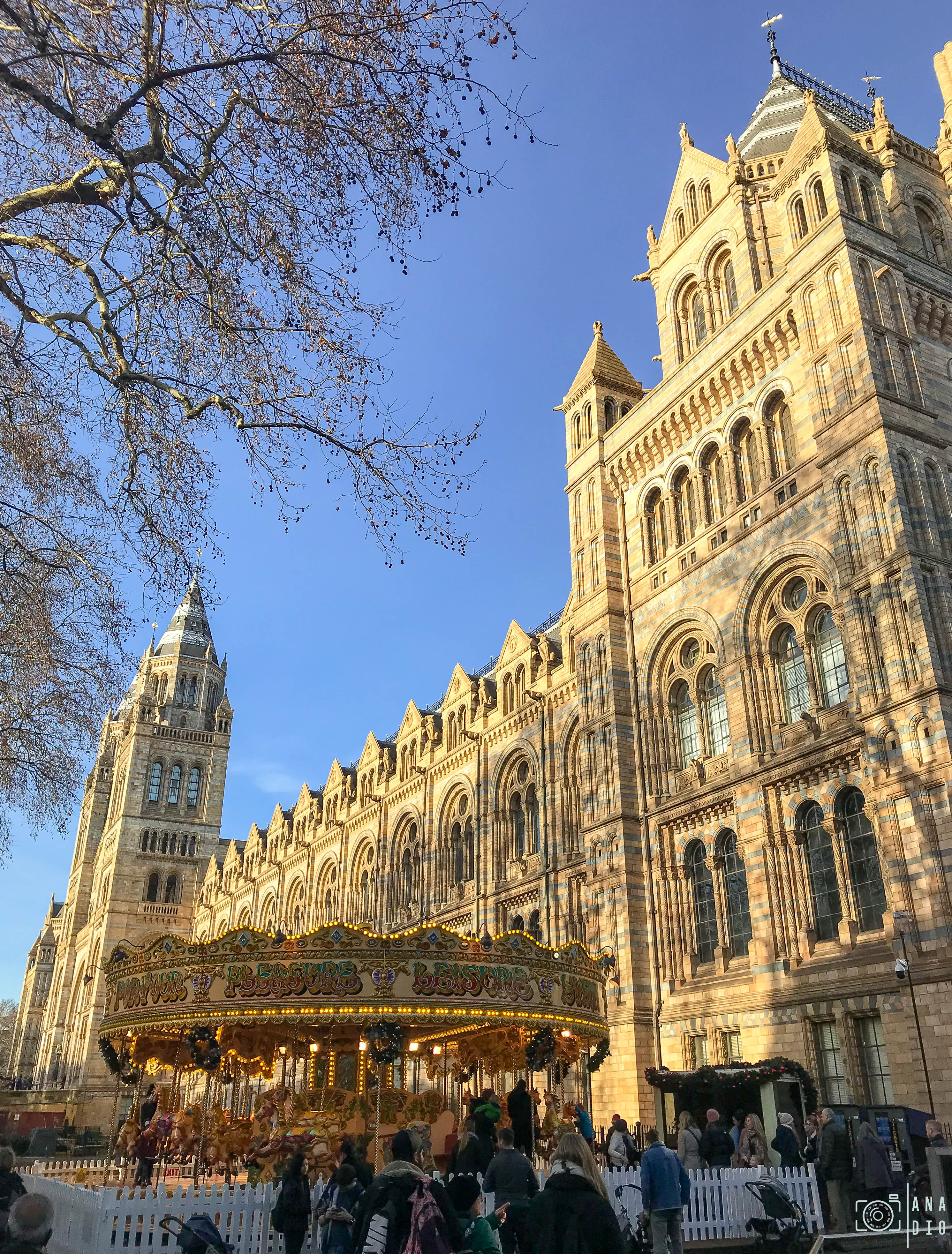 Le Musée d’Histoire Naturelle de Londres