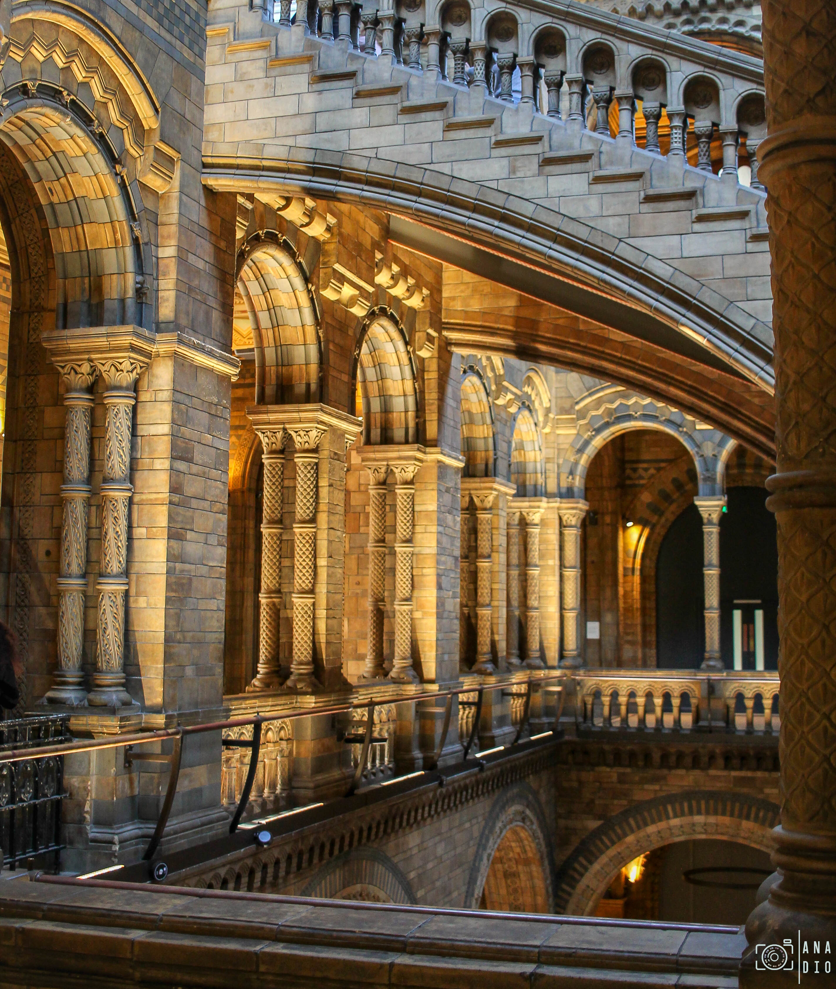 Le Musée d’Histoire Naturelle de Londres