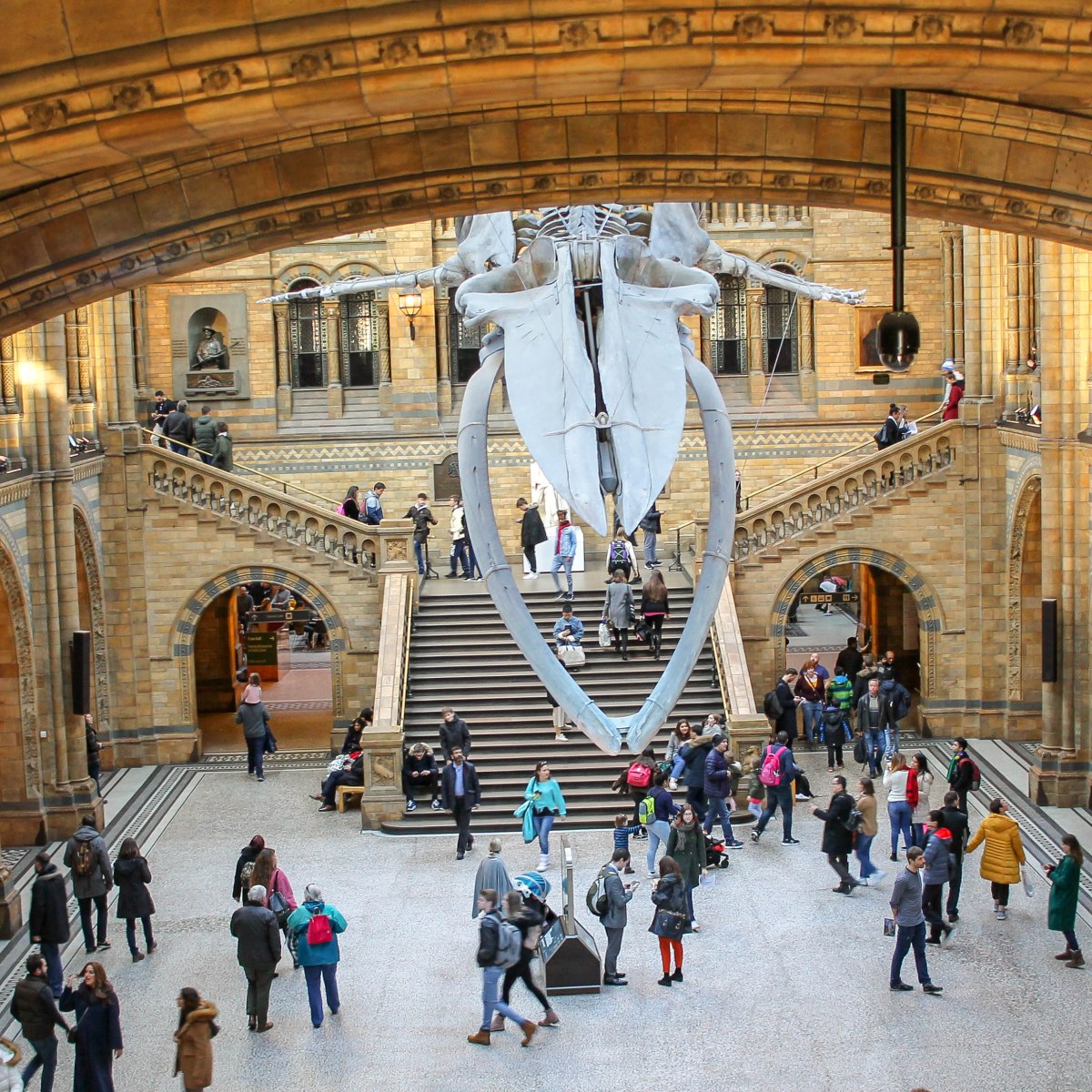 Le Musée d&rsquo;Histoire Naturelle de&nbsp;Londres