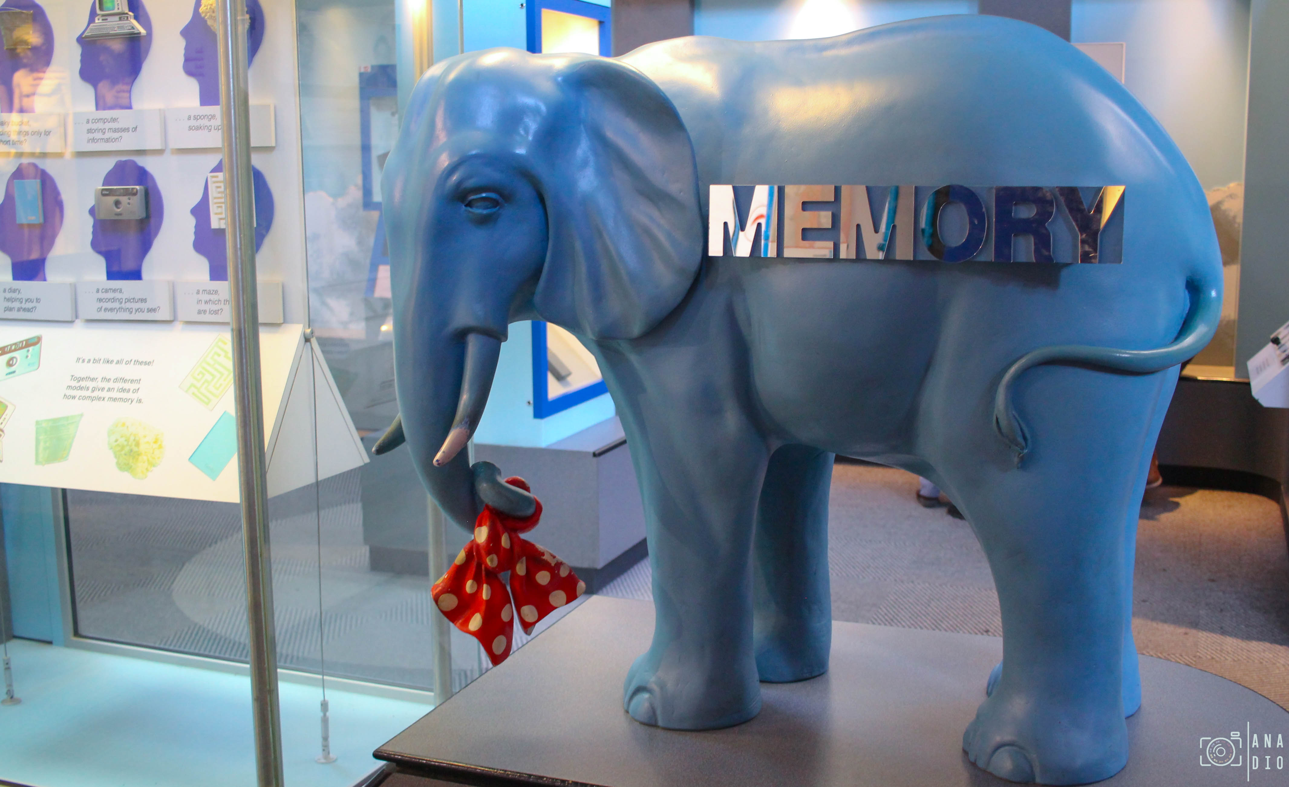 Le Musée d'Histoire Naturelle de Londres