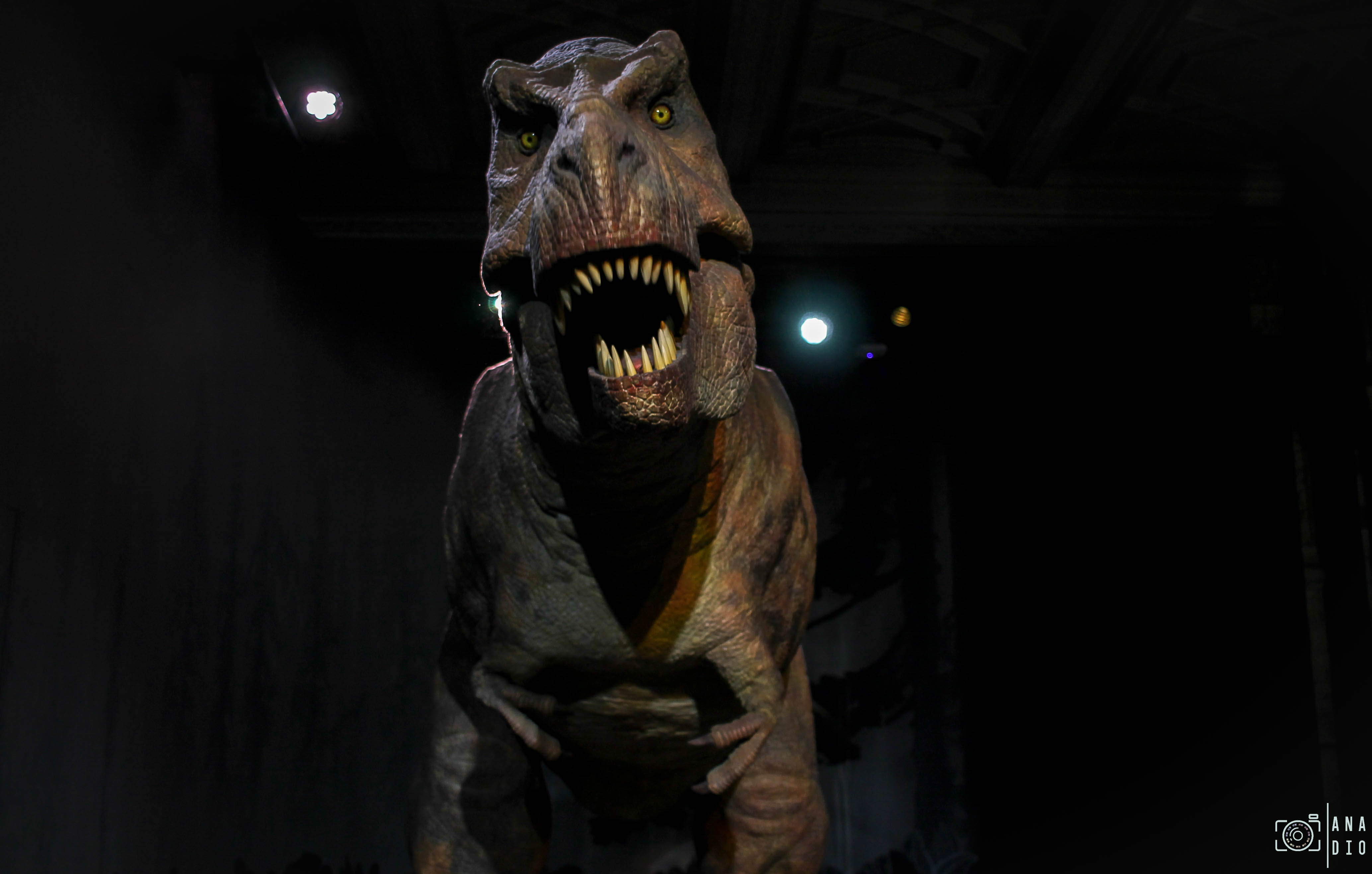 Le Musée d'Histoire Naturelle de Londres