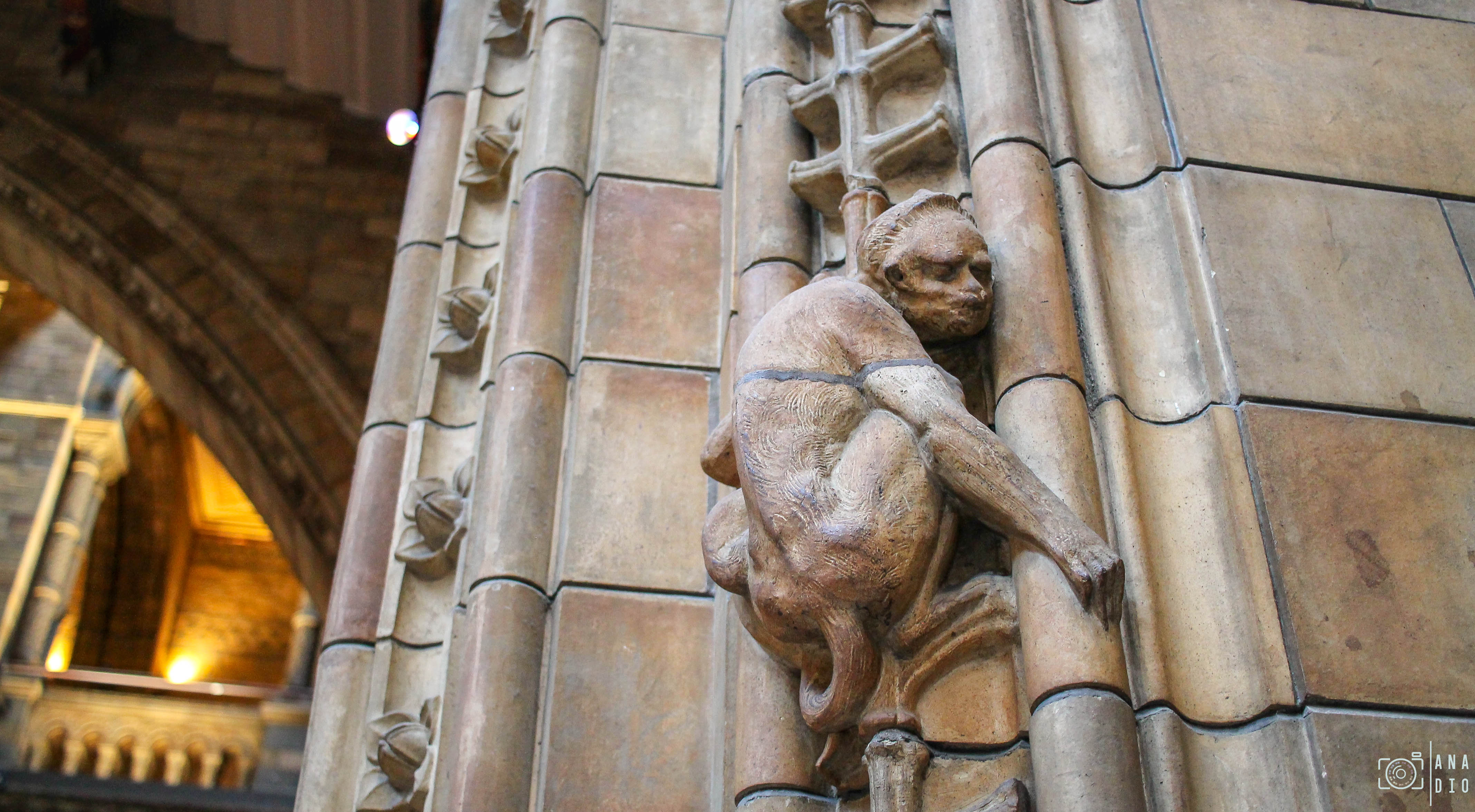 Le Musée d'Histoire Naturelle de Londres
