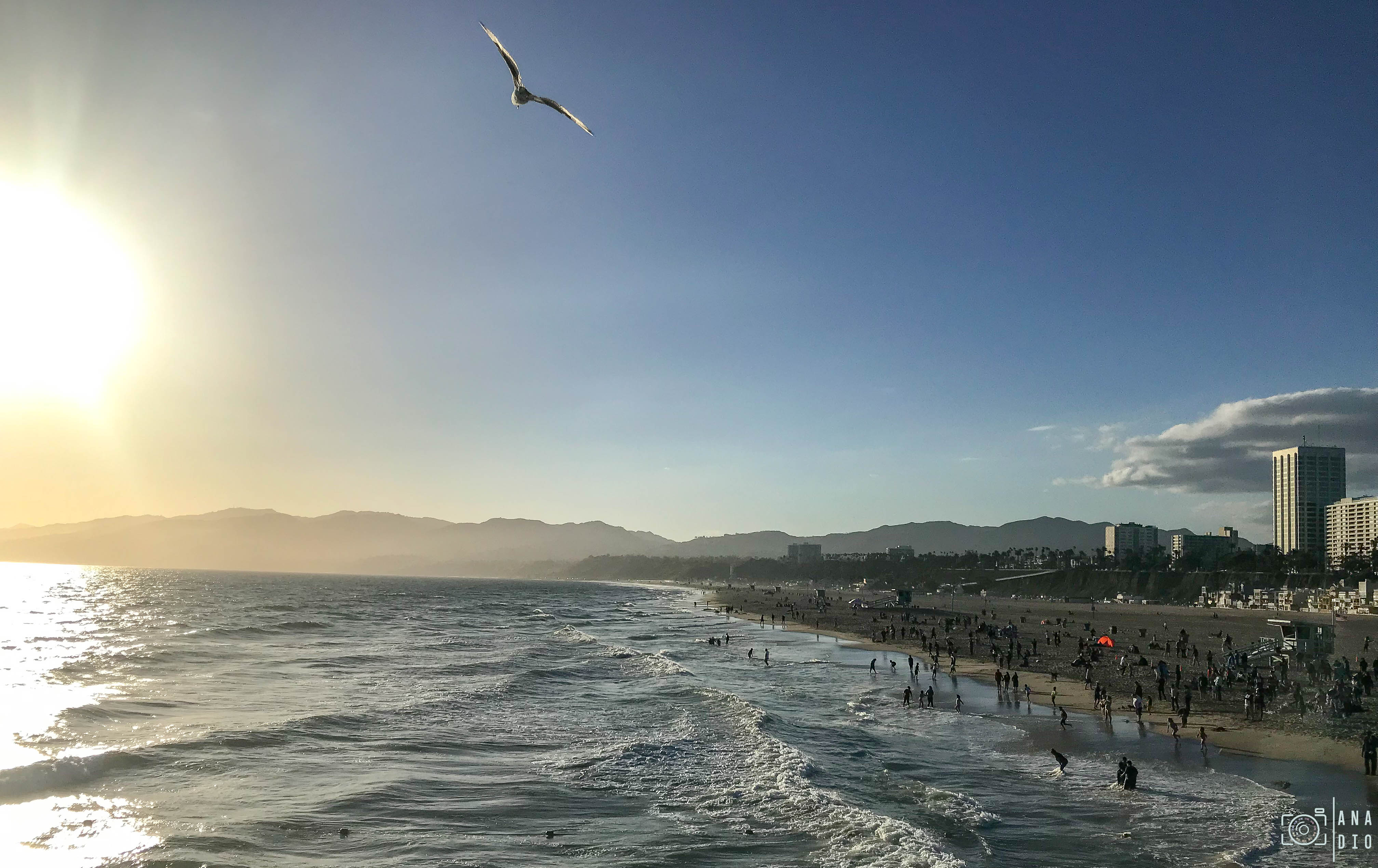Santa Monica