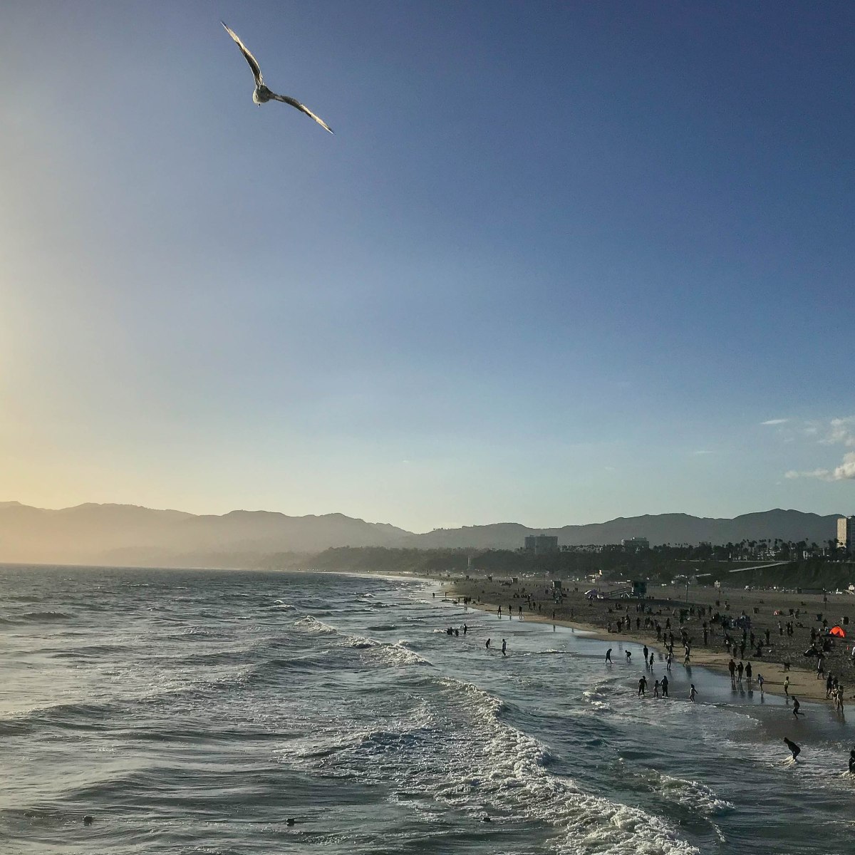 Sous le soleil de Los&nbsp;Angeles