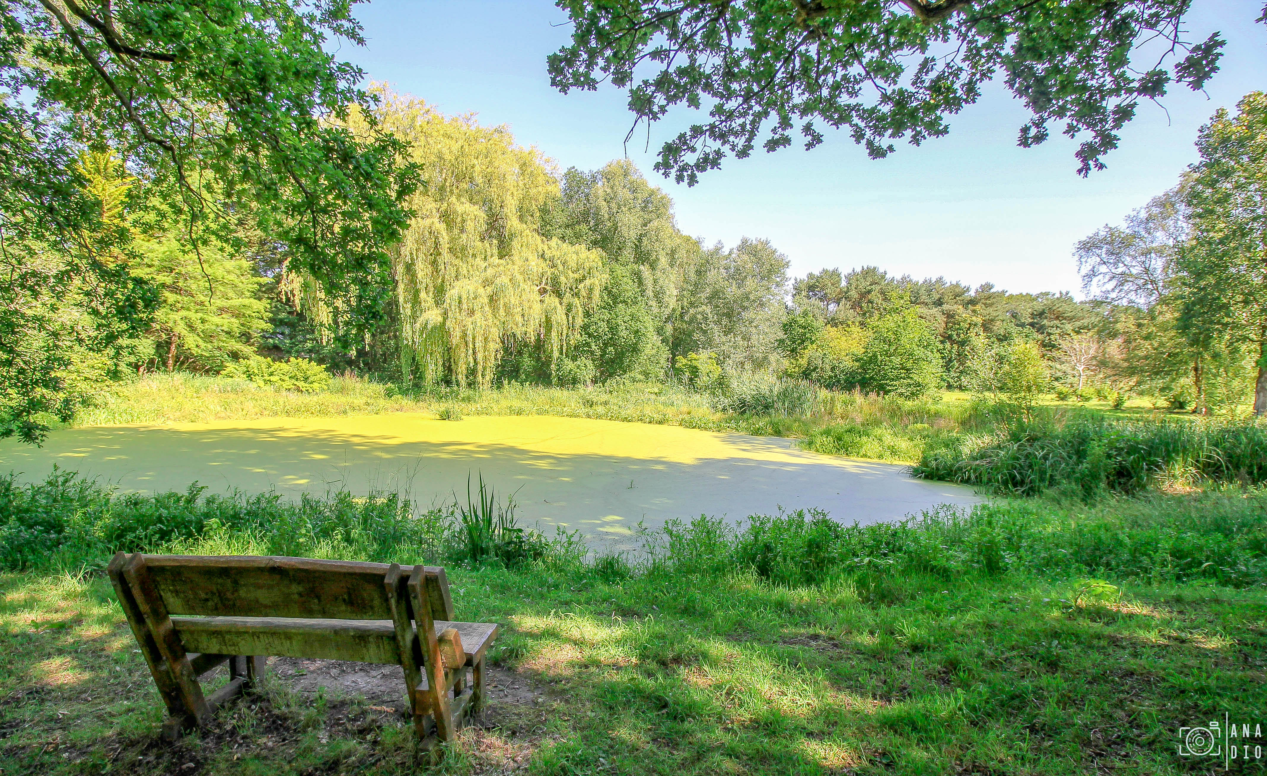 Manoir Ango à Varengeville sur Mer