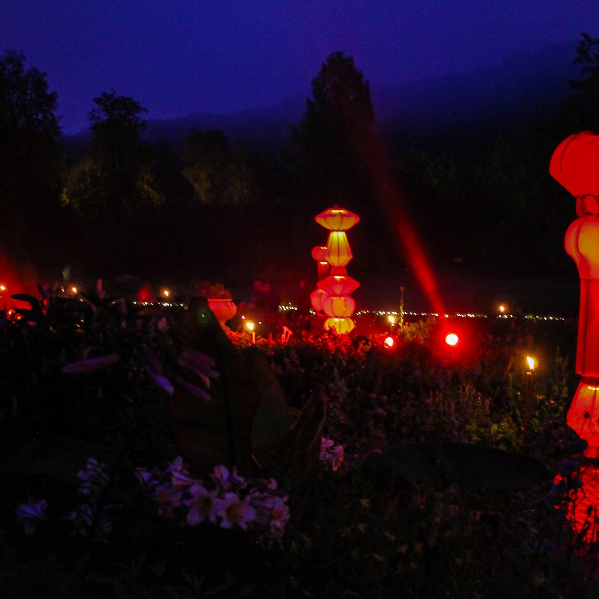 Pierres en Lumières au parc de&nbsp;Clères