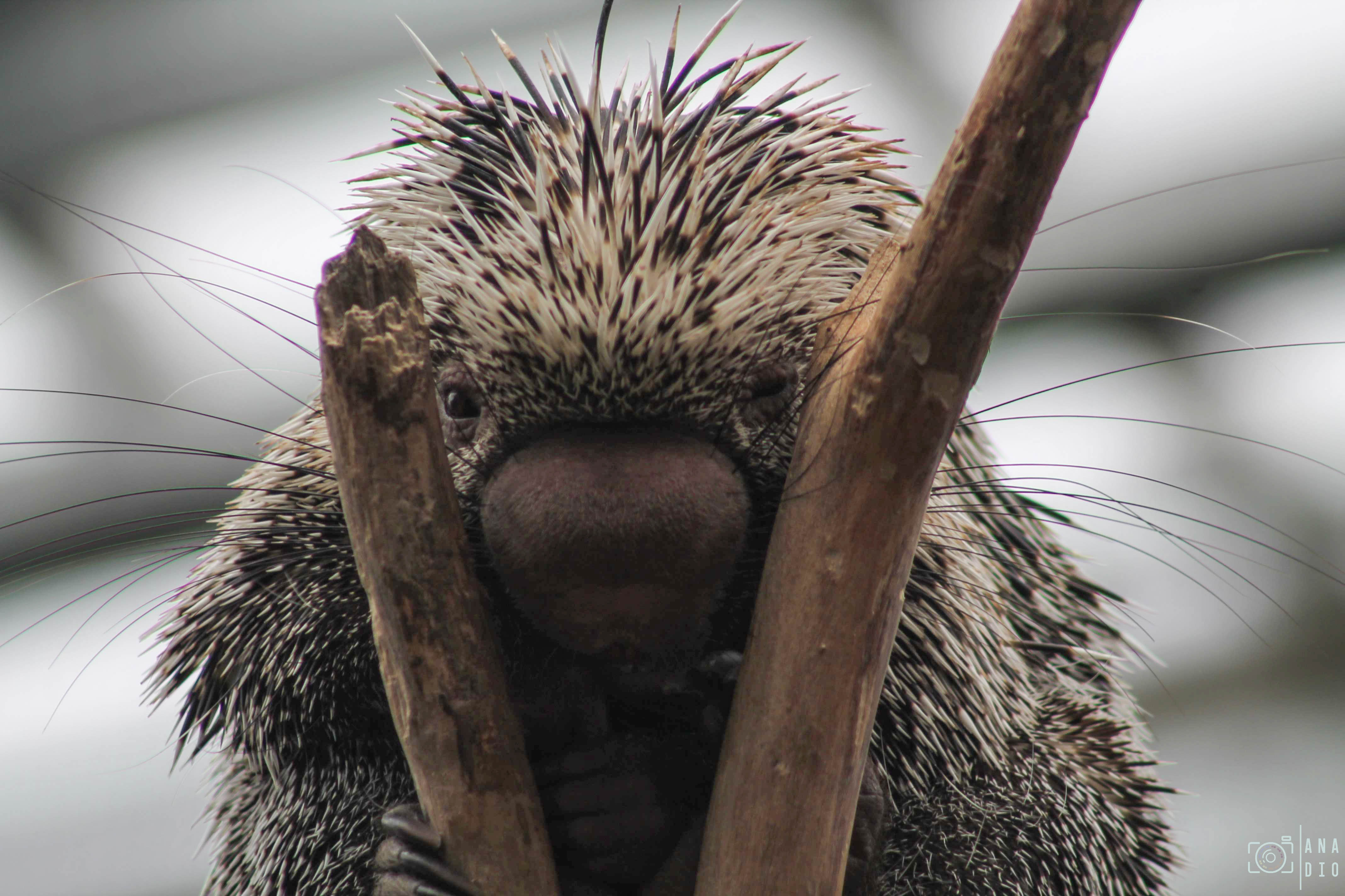 Biotropica à Val de Reuil