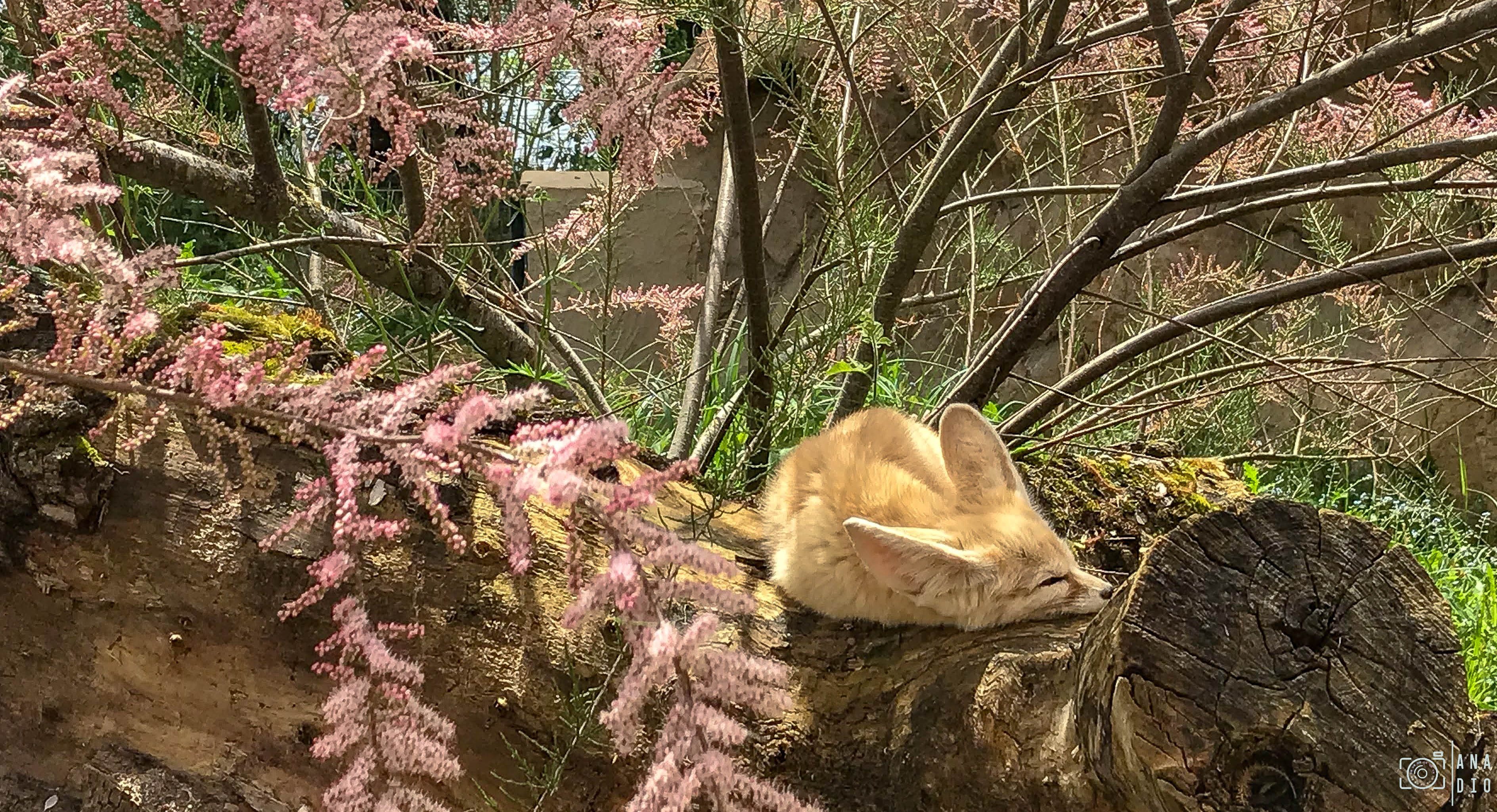 Biotropica à Val de Reuil