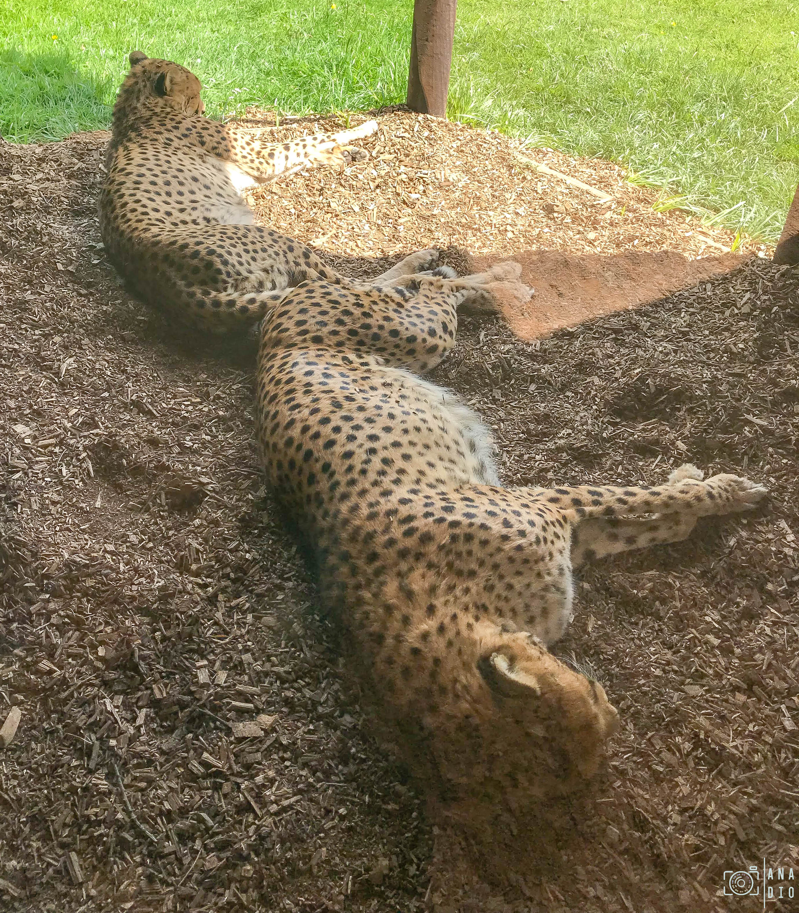 Biotropica à Val de Reuil