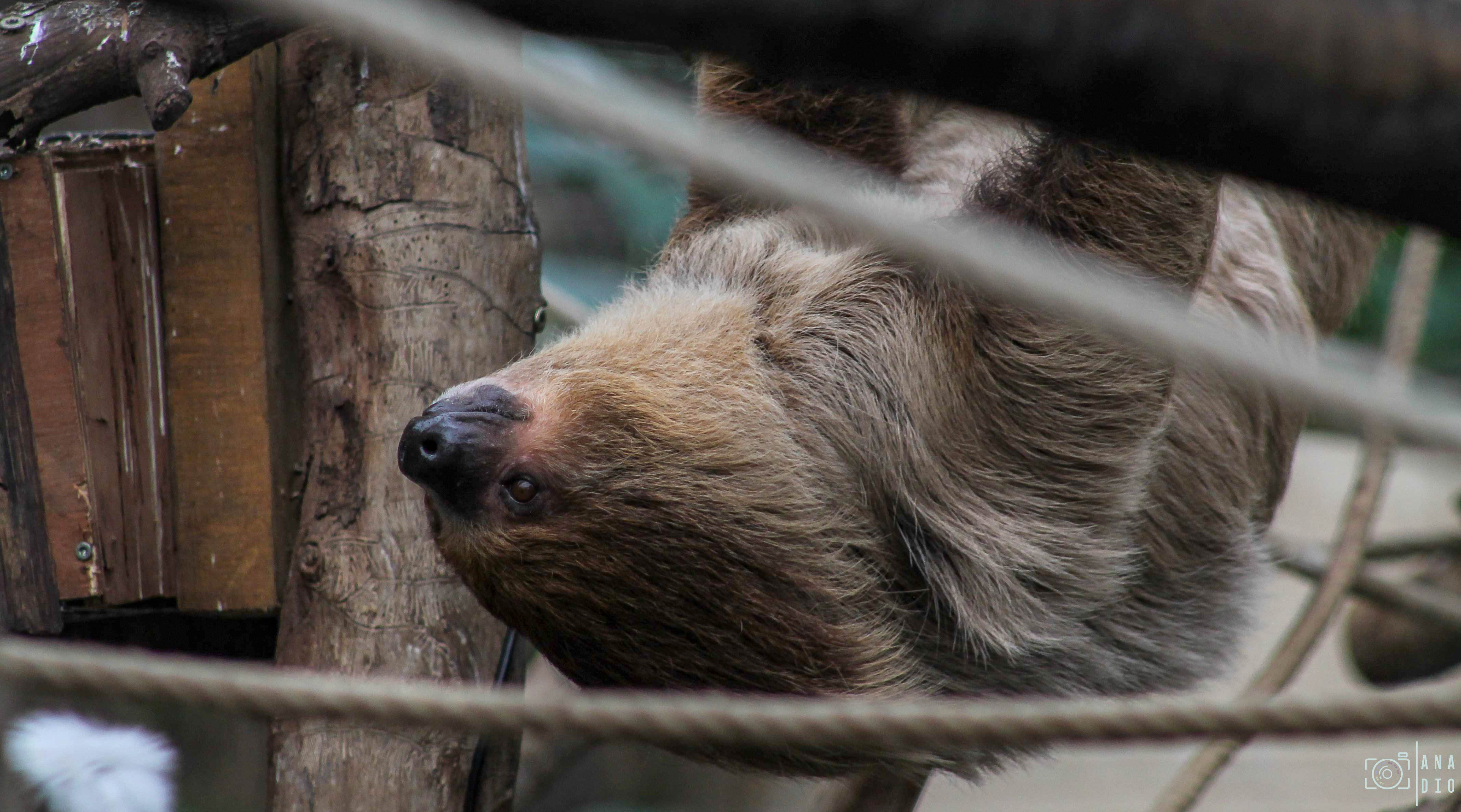 Biotropica à Val de Reuil