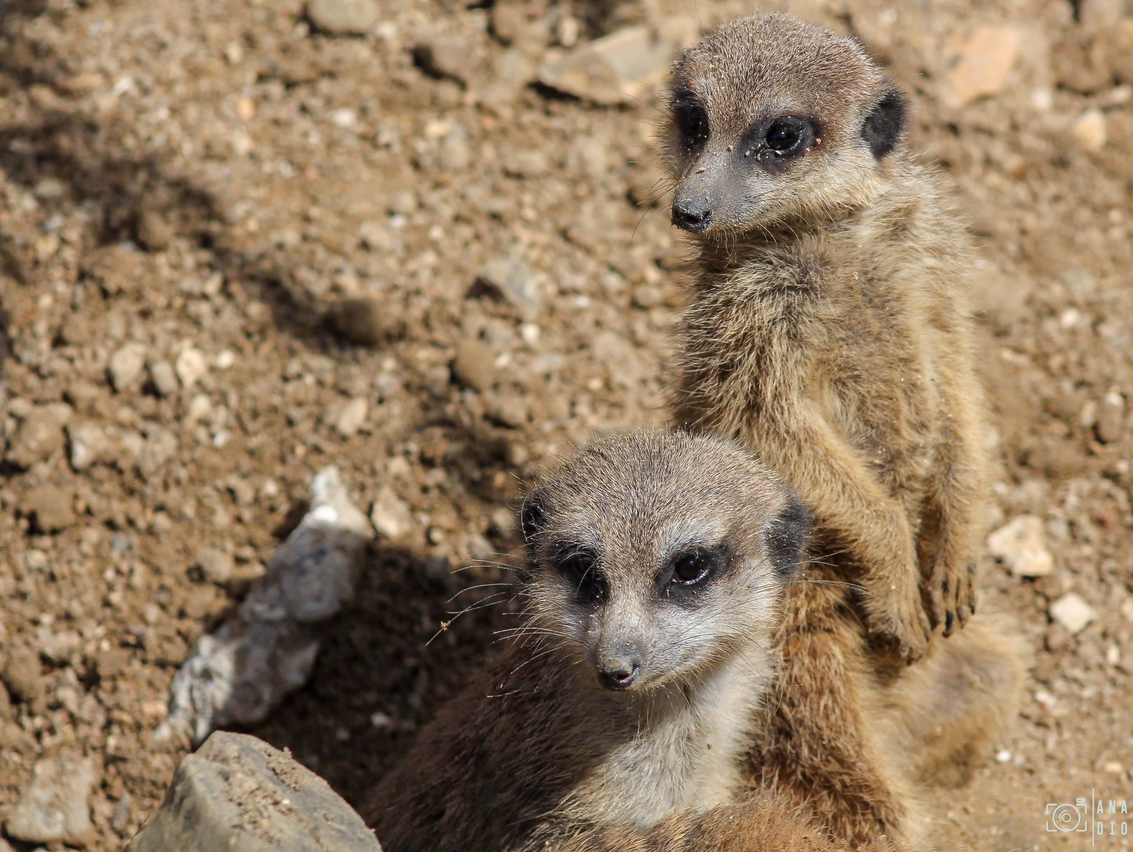 Biotropica à Val de Reuil
