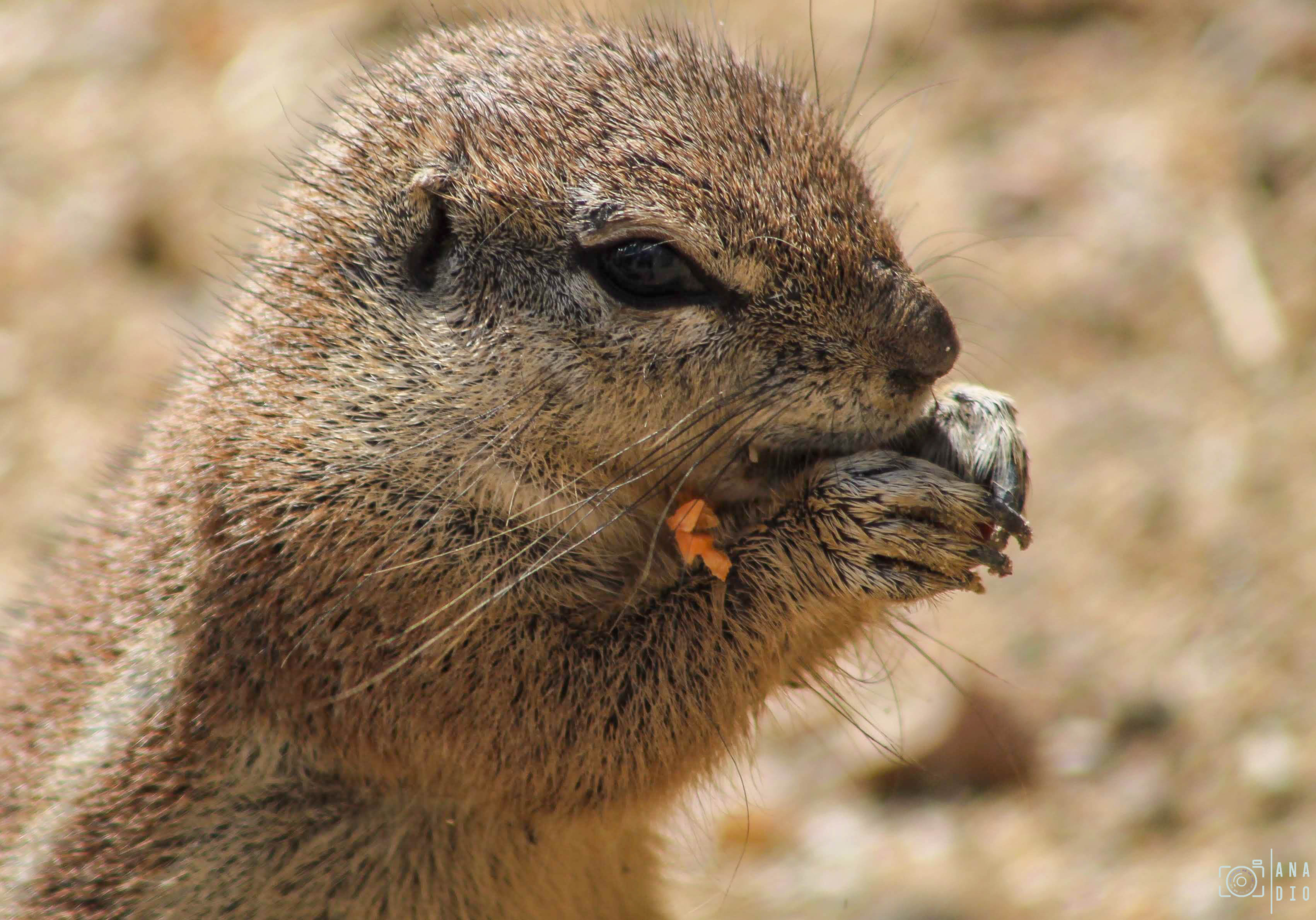 Biotropica à Val de Reuil