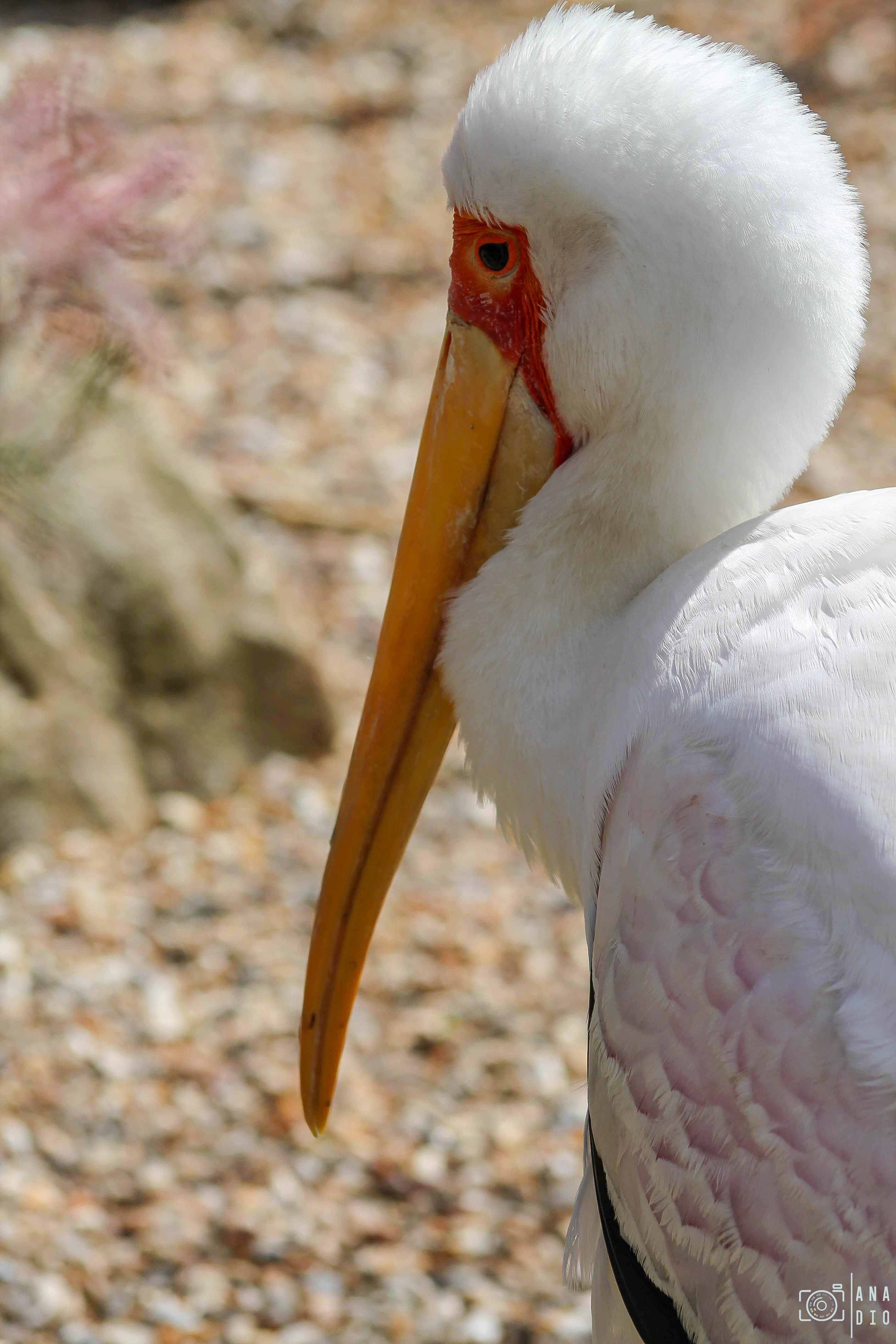 Biotropica à Val de Reuil