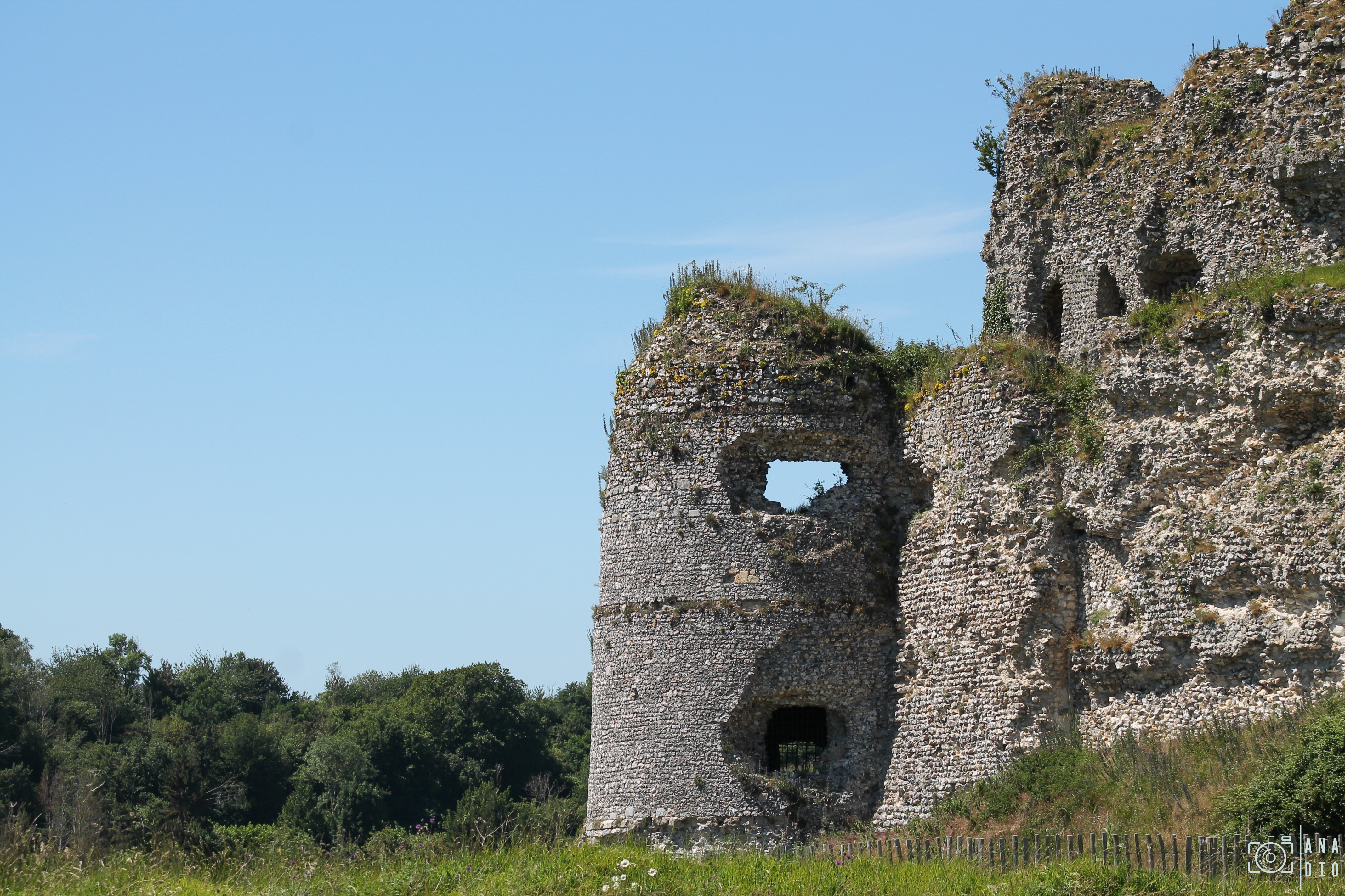 château d'Arques la Bataille
