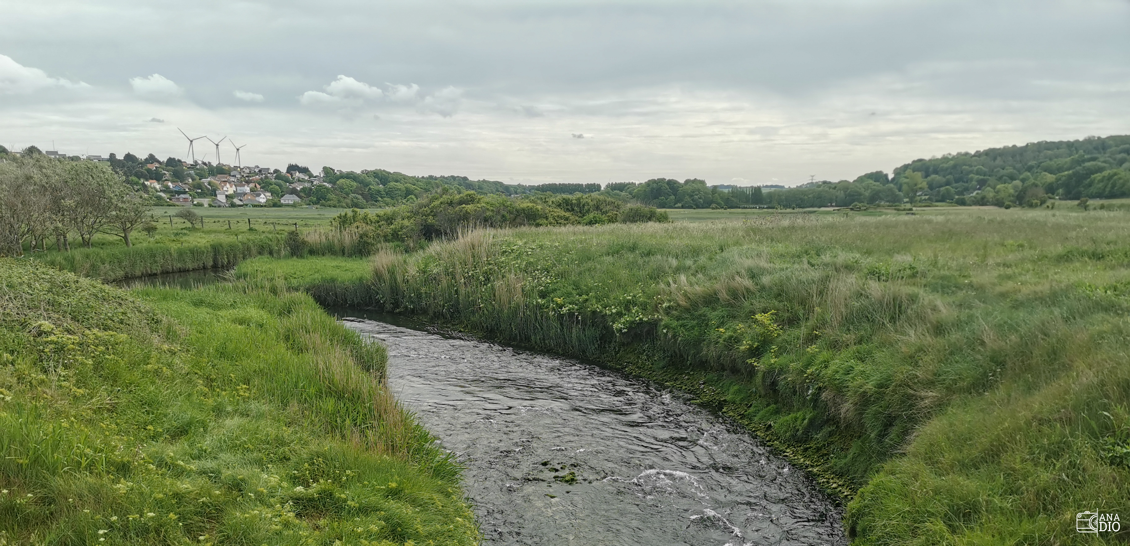Prés salés de Criel-sur-Mer