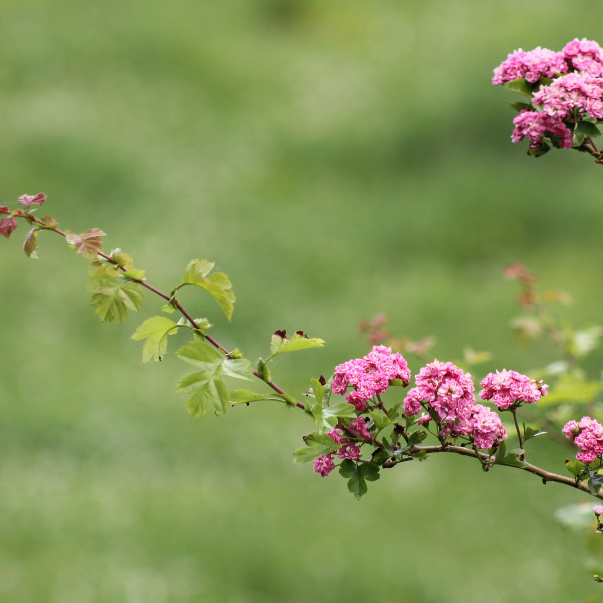 La vie n&rsquo;est pas une comédie&nbsp;romantique
