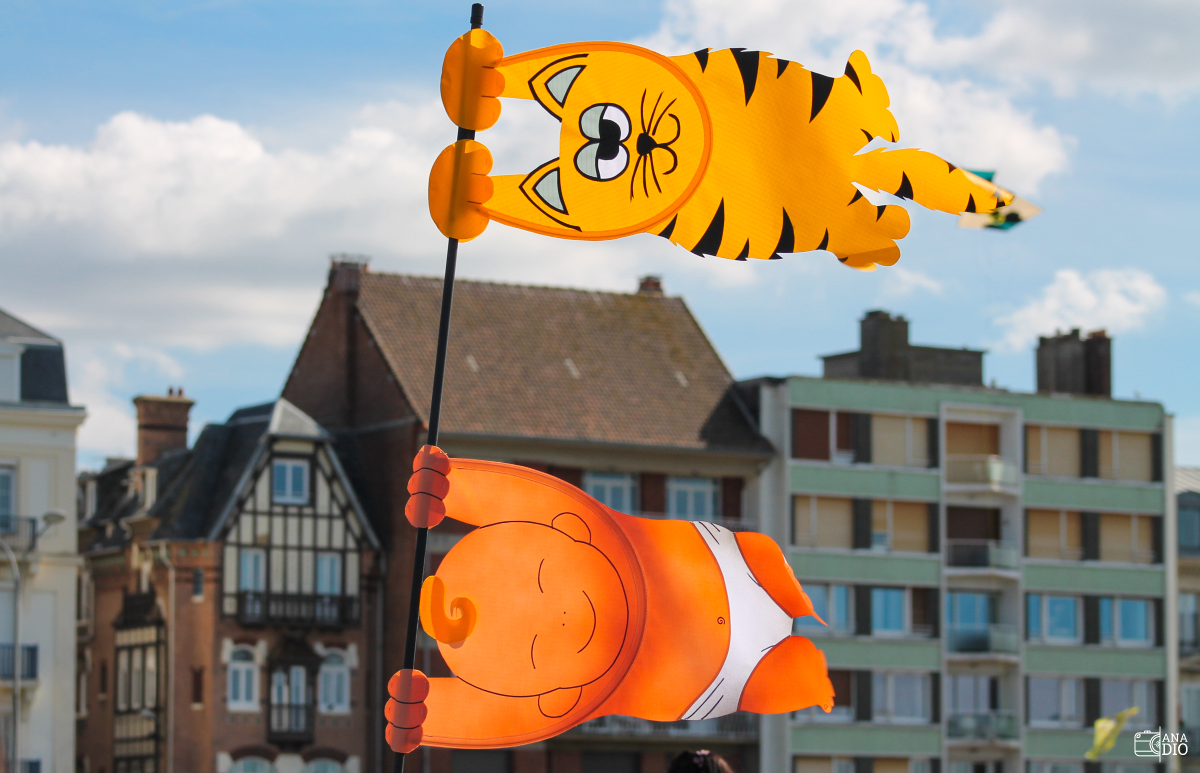 Festival de cerf-volant de Dieppe