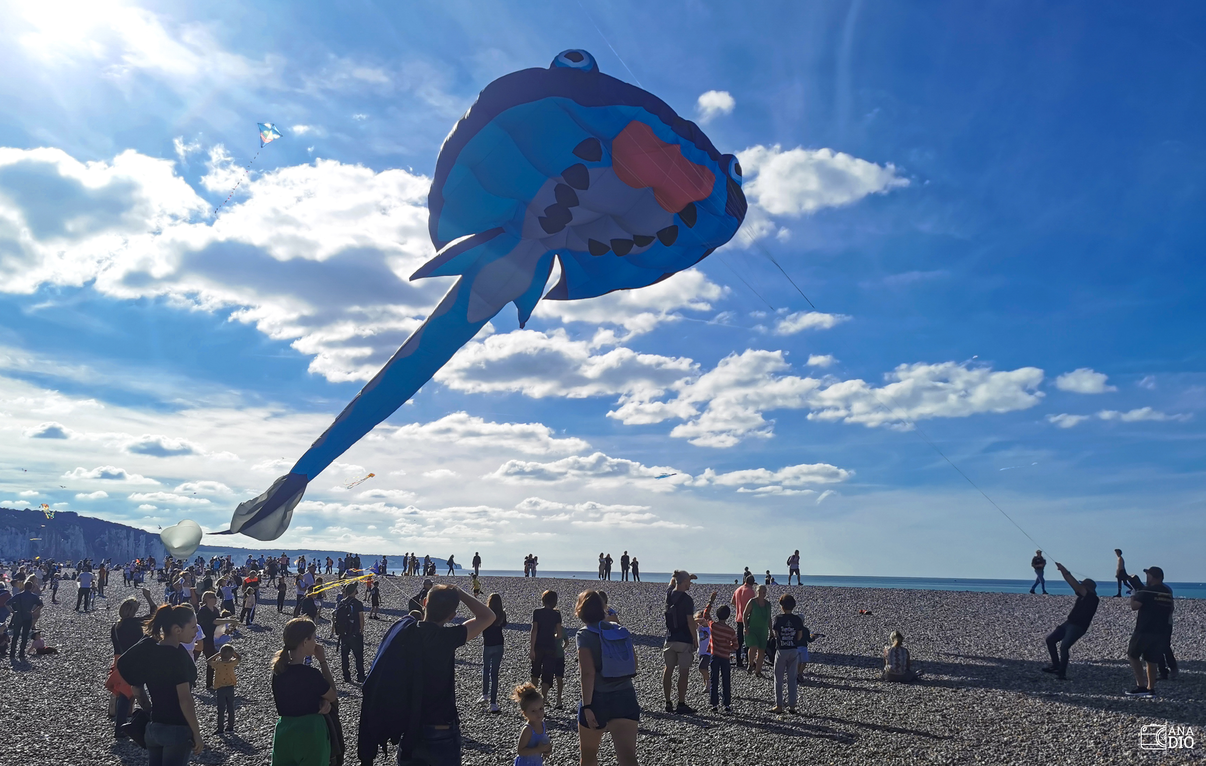 Festival de cerf-volant de Dieppe