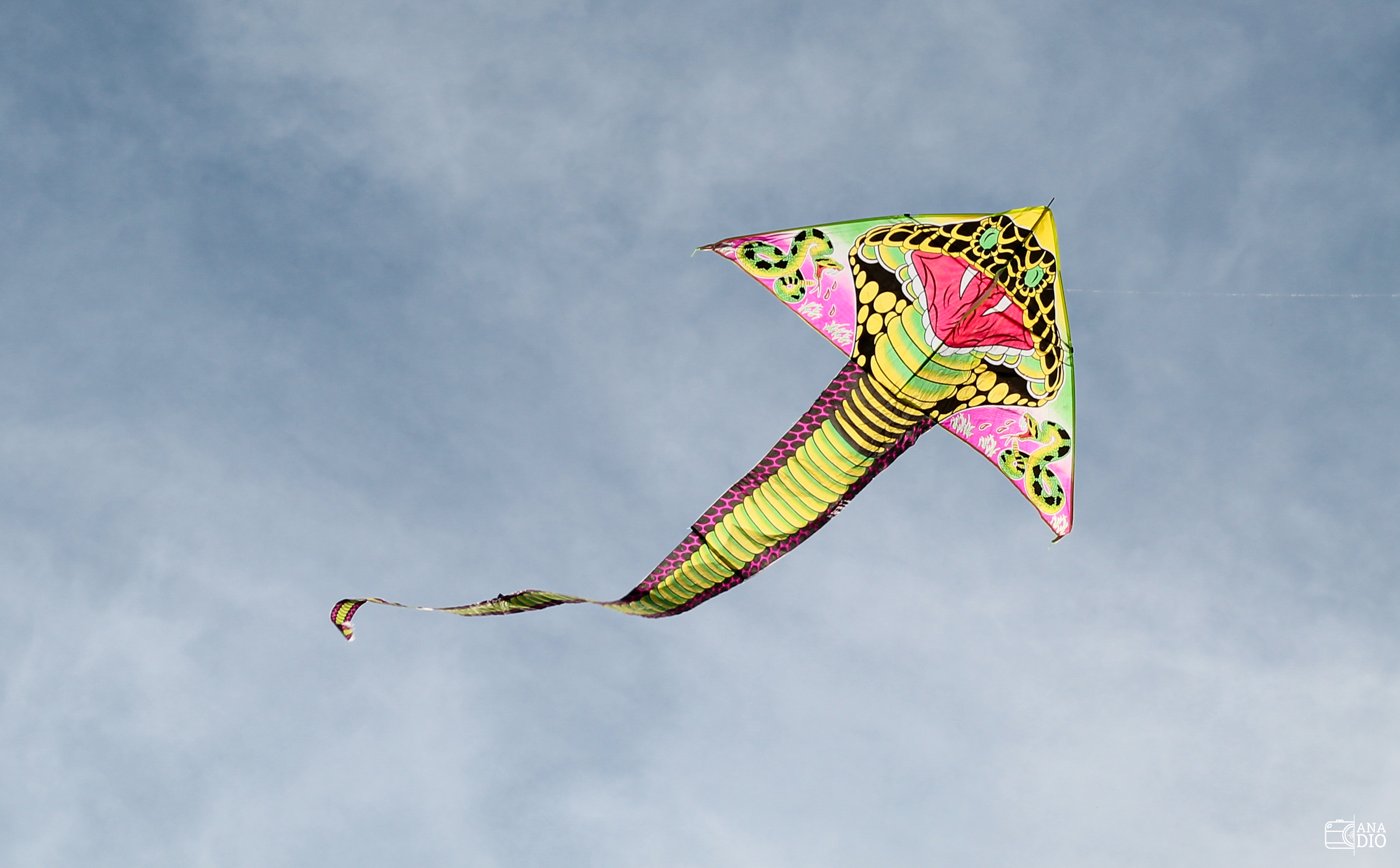 Festival de cerf-volant de Dieppe