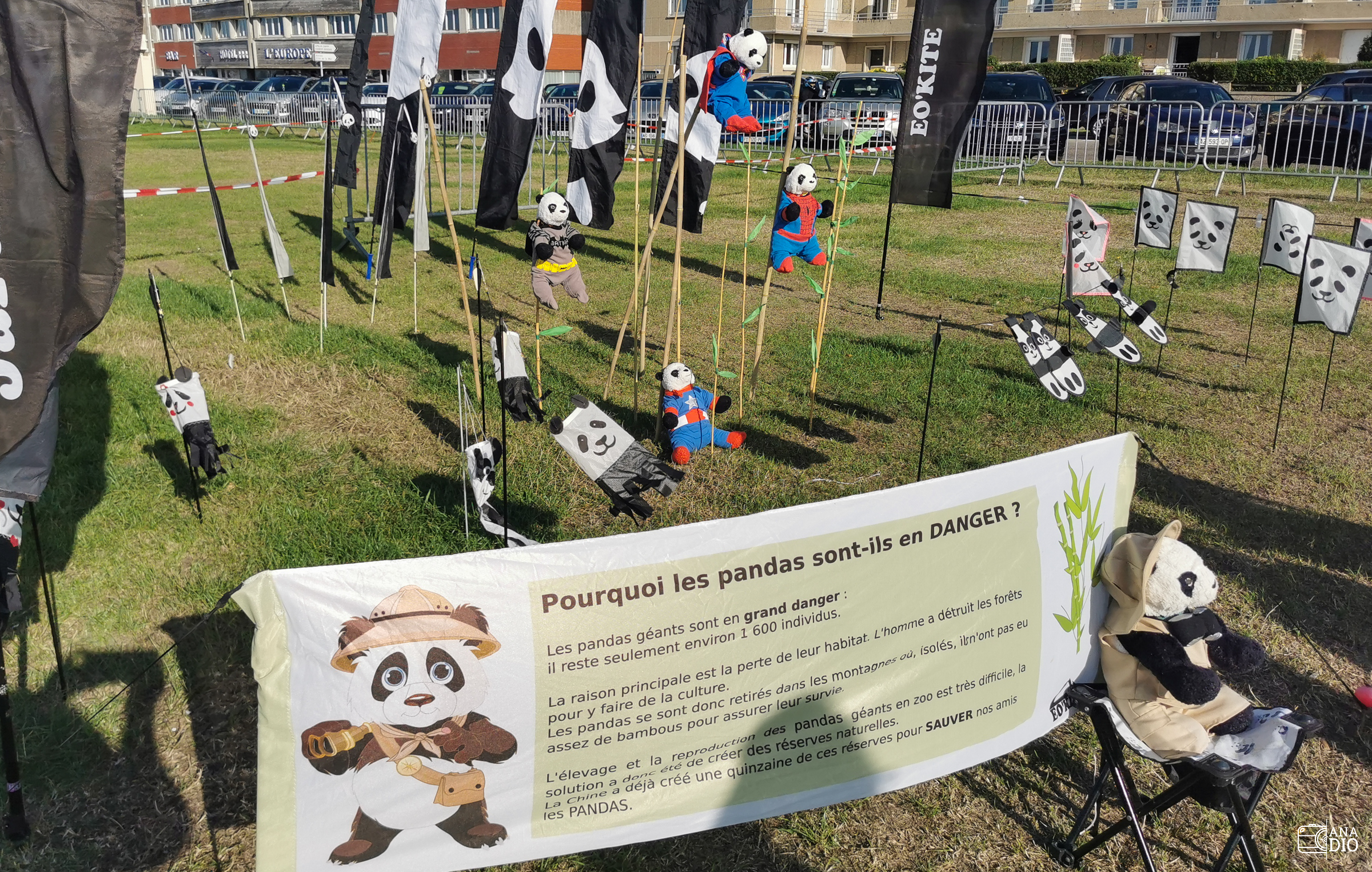 Festival de cerf-volant de Dieppe