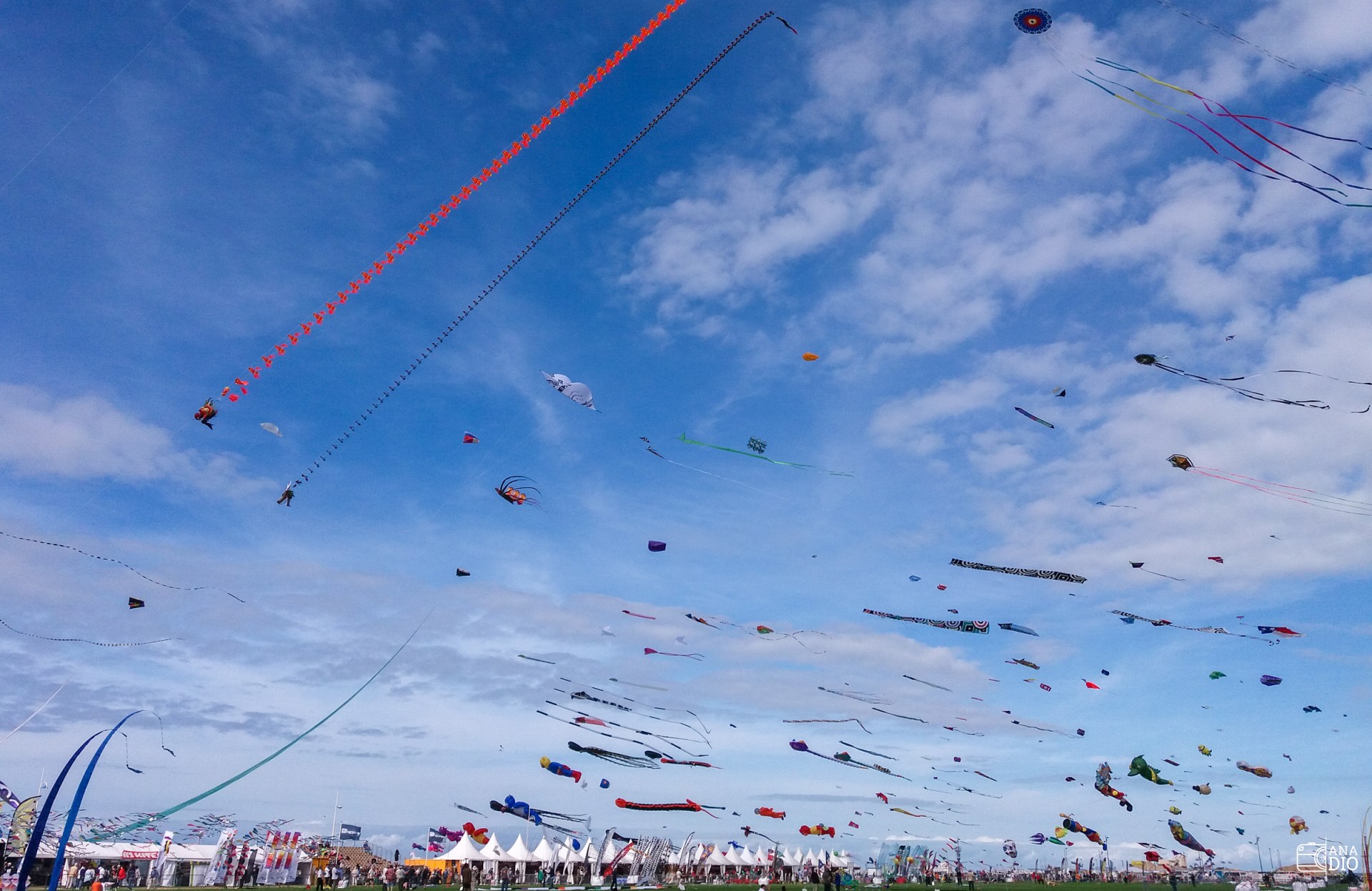 festival cerf volant dieppe