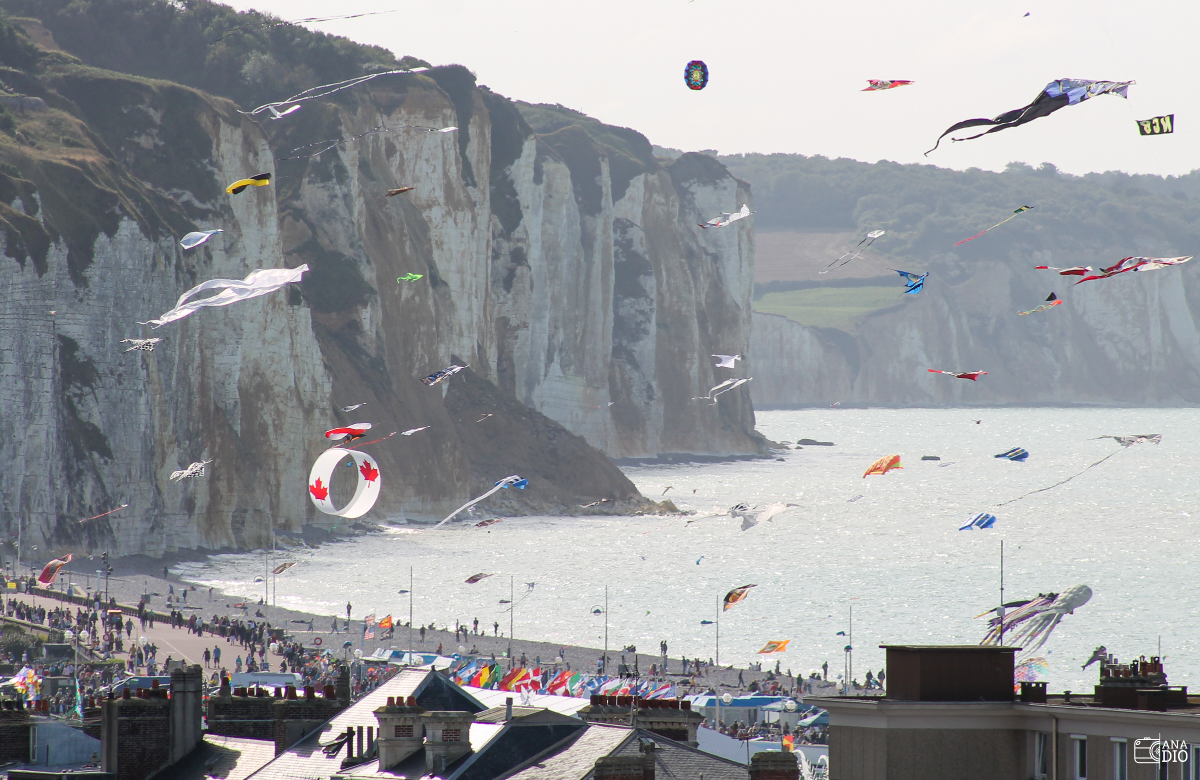 festival cerf volant dieppe